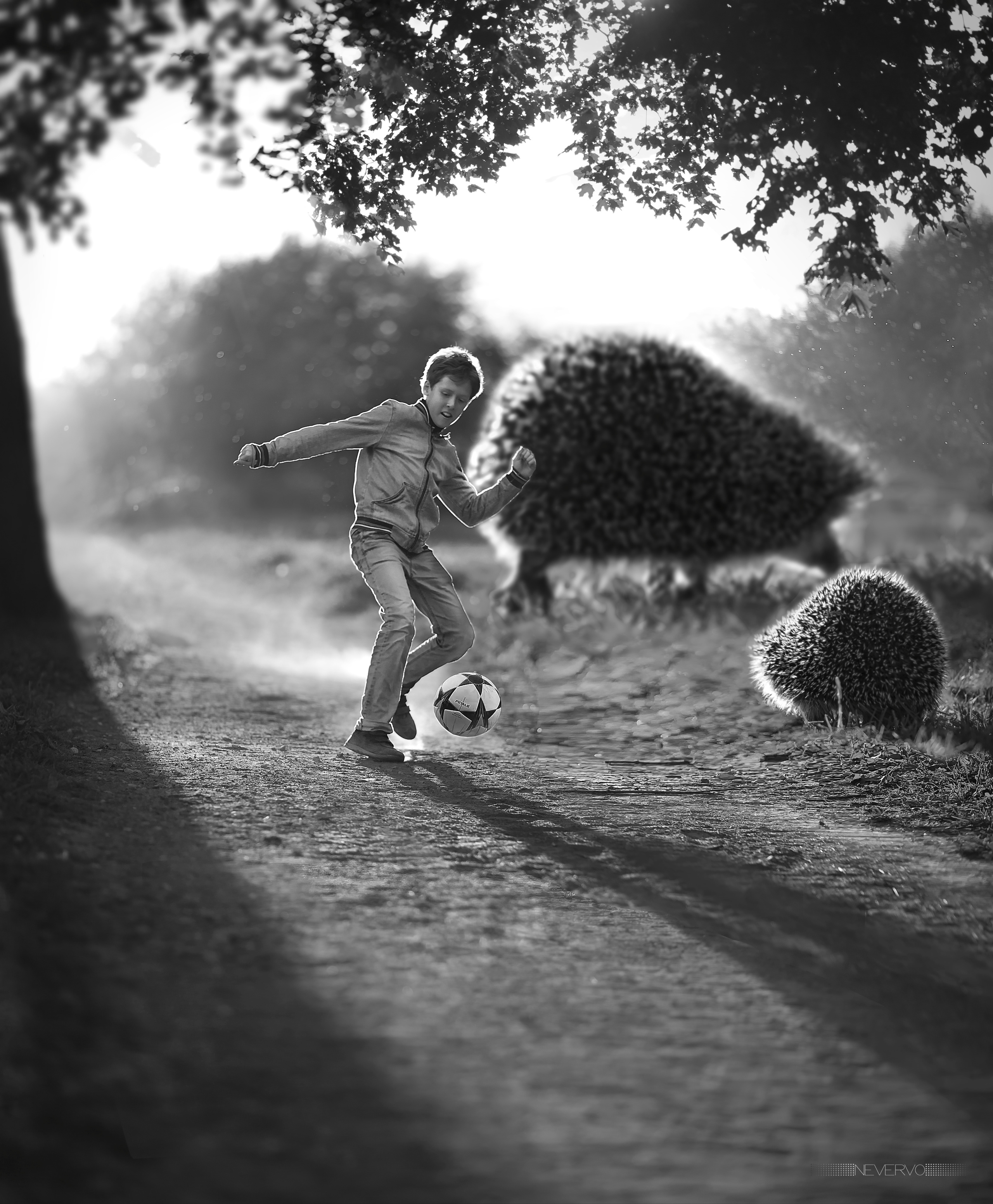 Черно-белая фотосъемка. B&W съемка в Москве. ЧБ фотограф Олег Голишник. Арт-фотограф Олег Голишников. Творческая мастерская