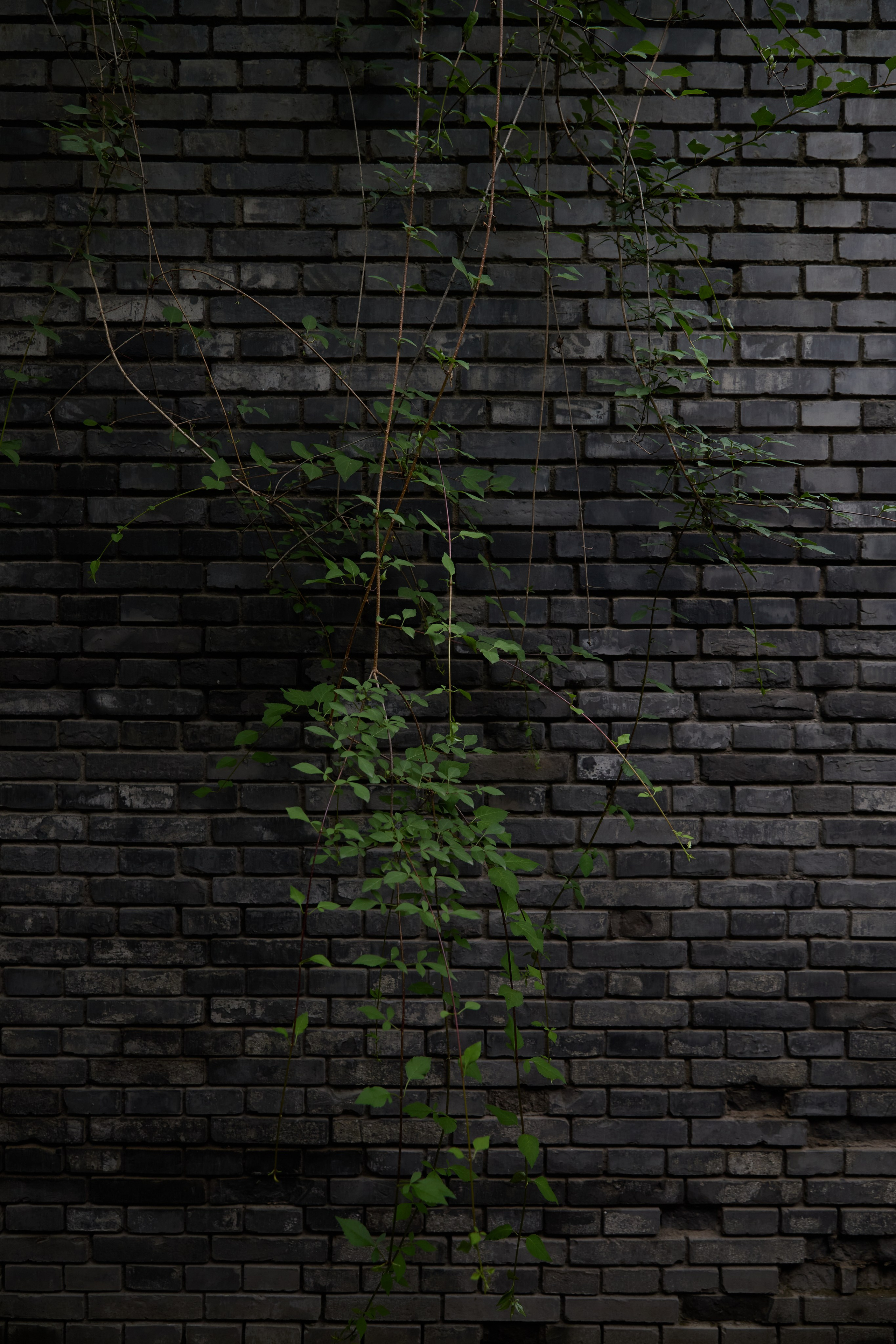 BRICK GALLERY. Предметный фотограф SHONGIN SERGEI