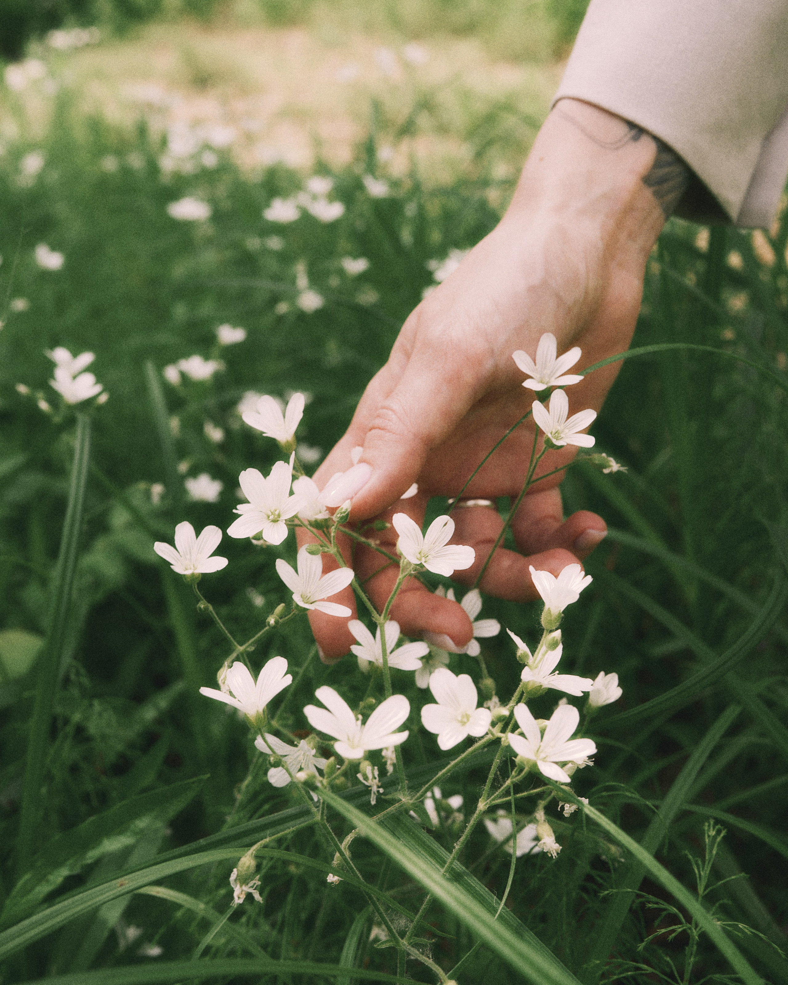 Женский портрет на природе — естественный свет и красота. Фотограф в Хабаровске Дмитрий Лемешков