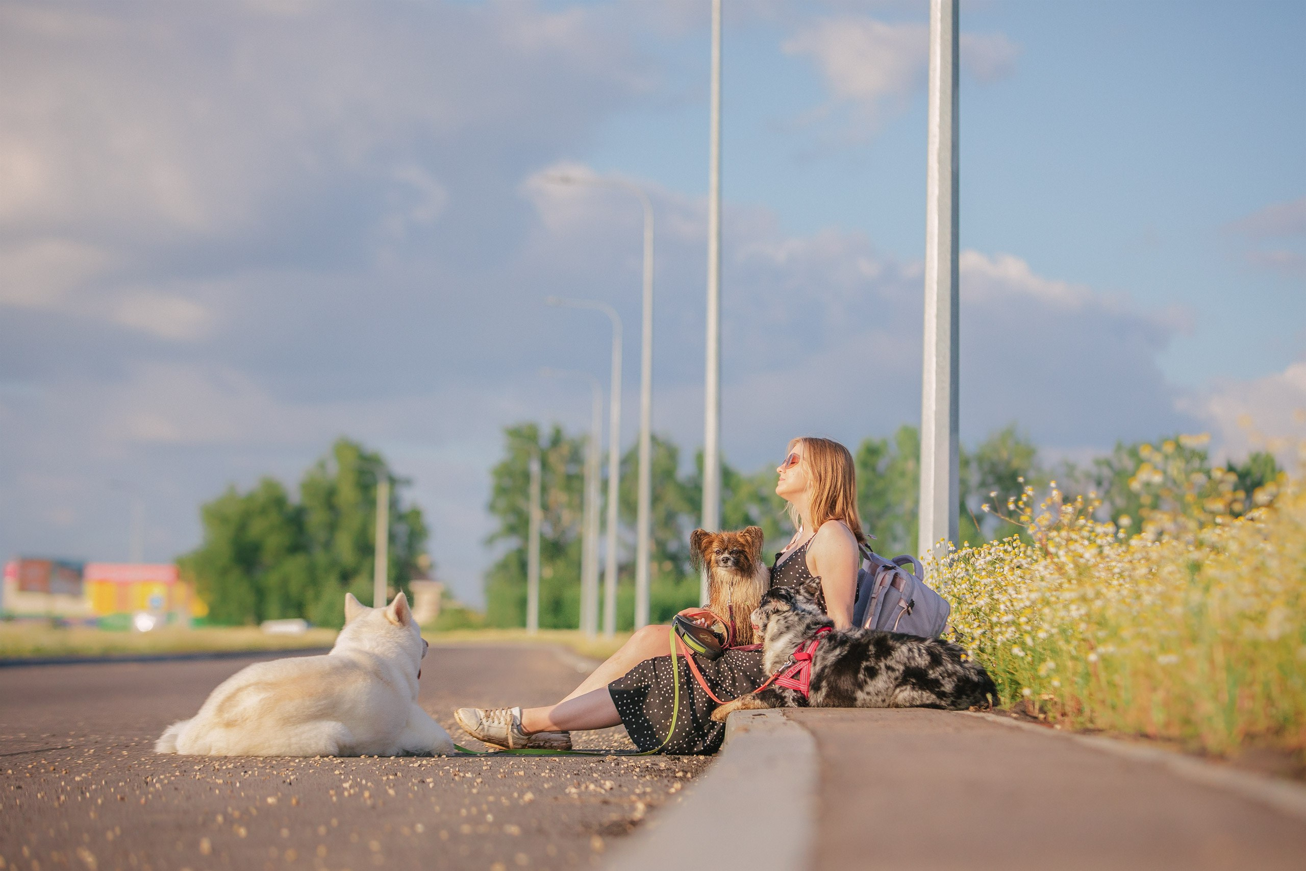 Таня и команда на рассвете. Фотограф анималист Кузнецова Анна Нижний Новгород
