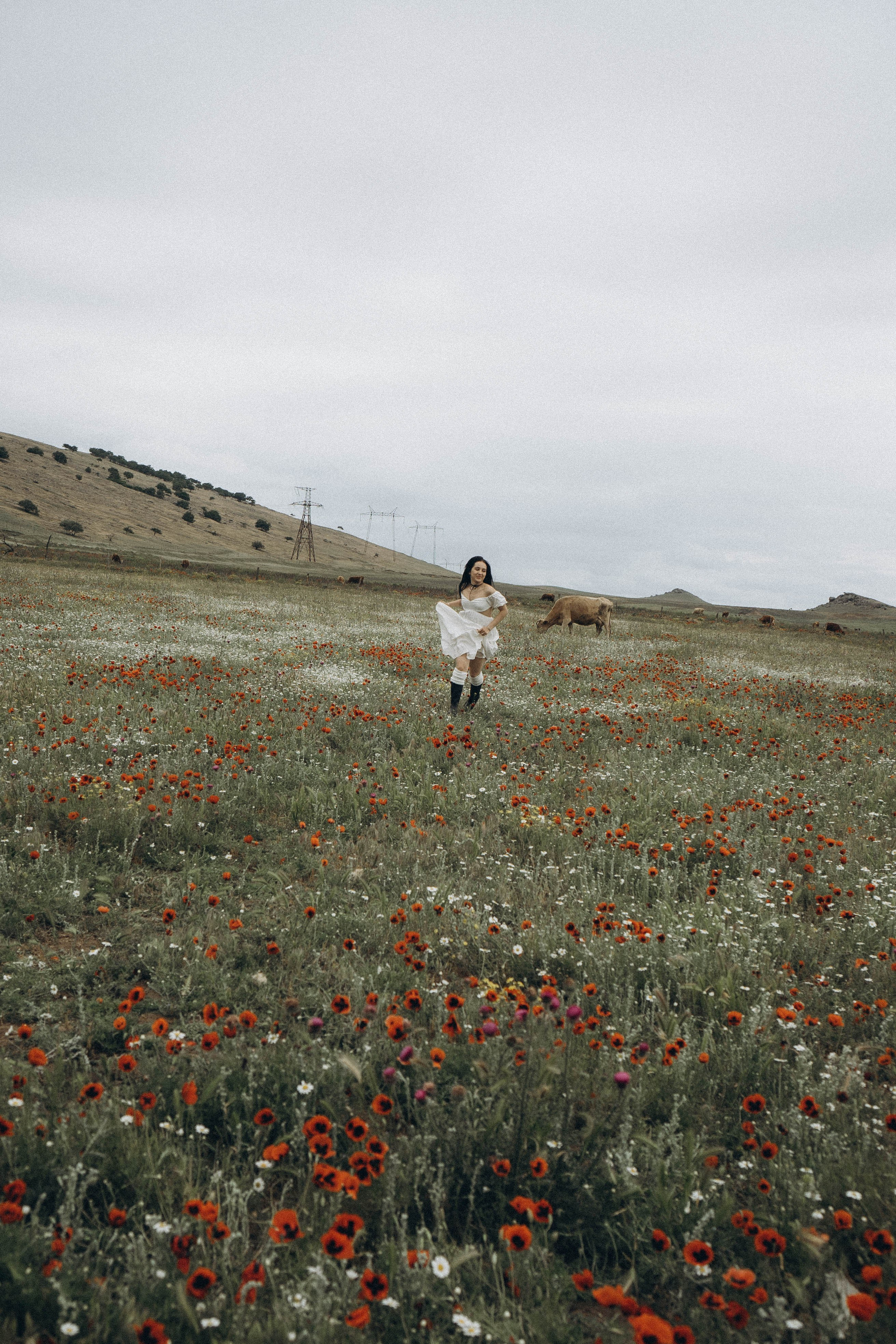 Маковое поле. Профессиональный фотограф, Санкт-Петербург — Виктория Богомолова