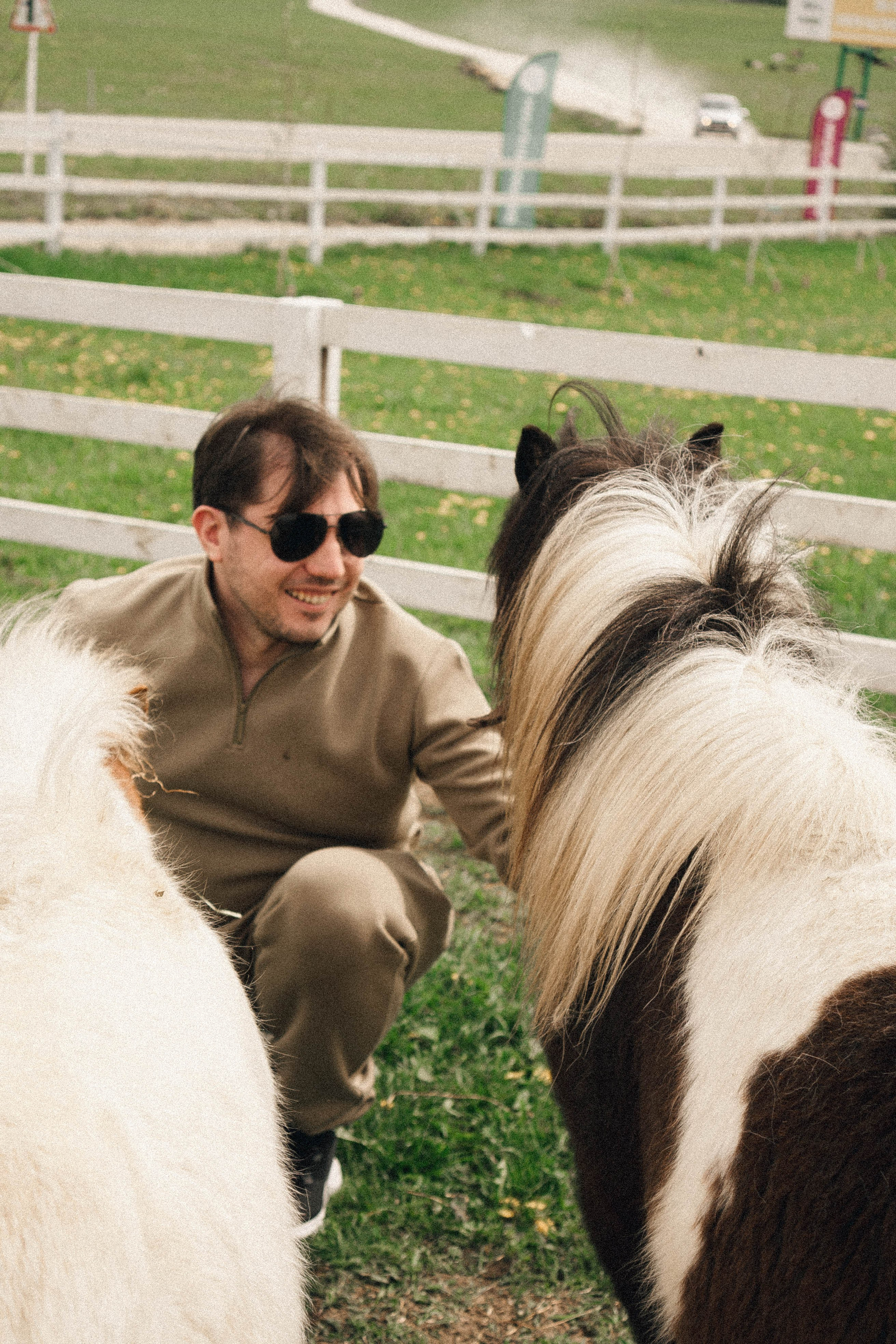 Ферма Альпак. Профессиональный фотограф, Санкт-Петербург — Виктория Богомолова