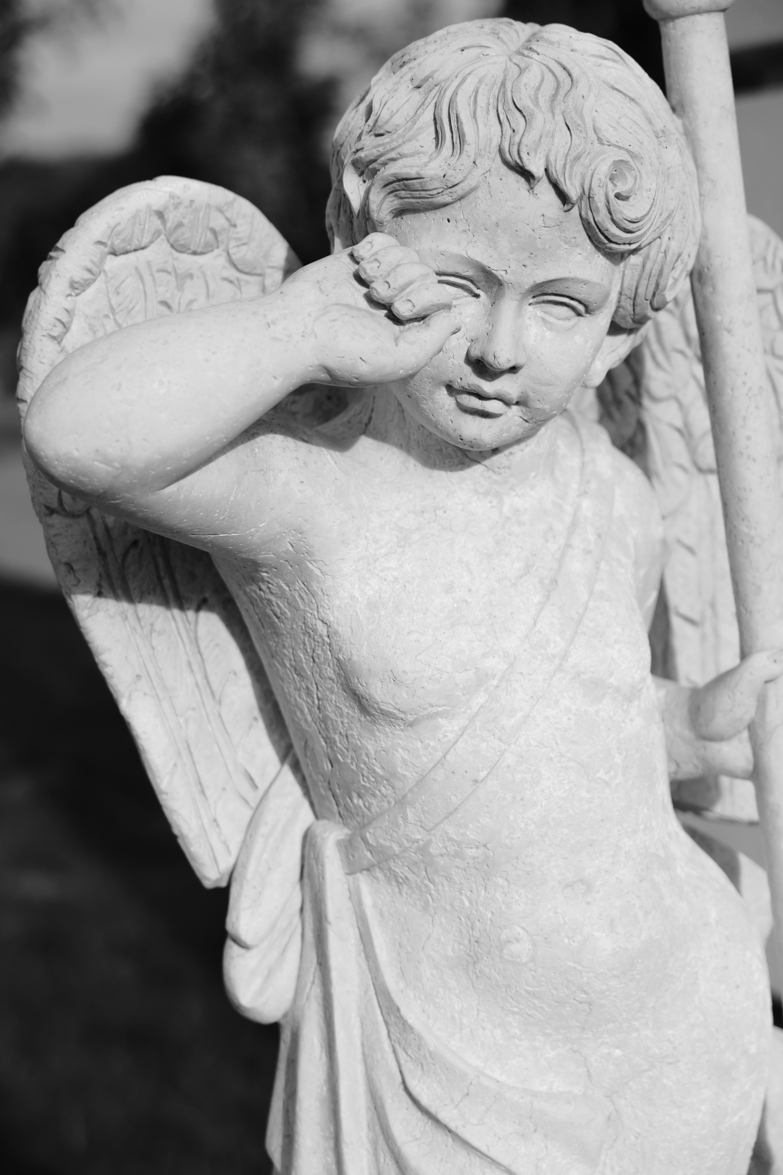 Дмитрий и Дианa. Свадебный фотограф Анна Бабахина