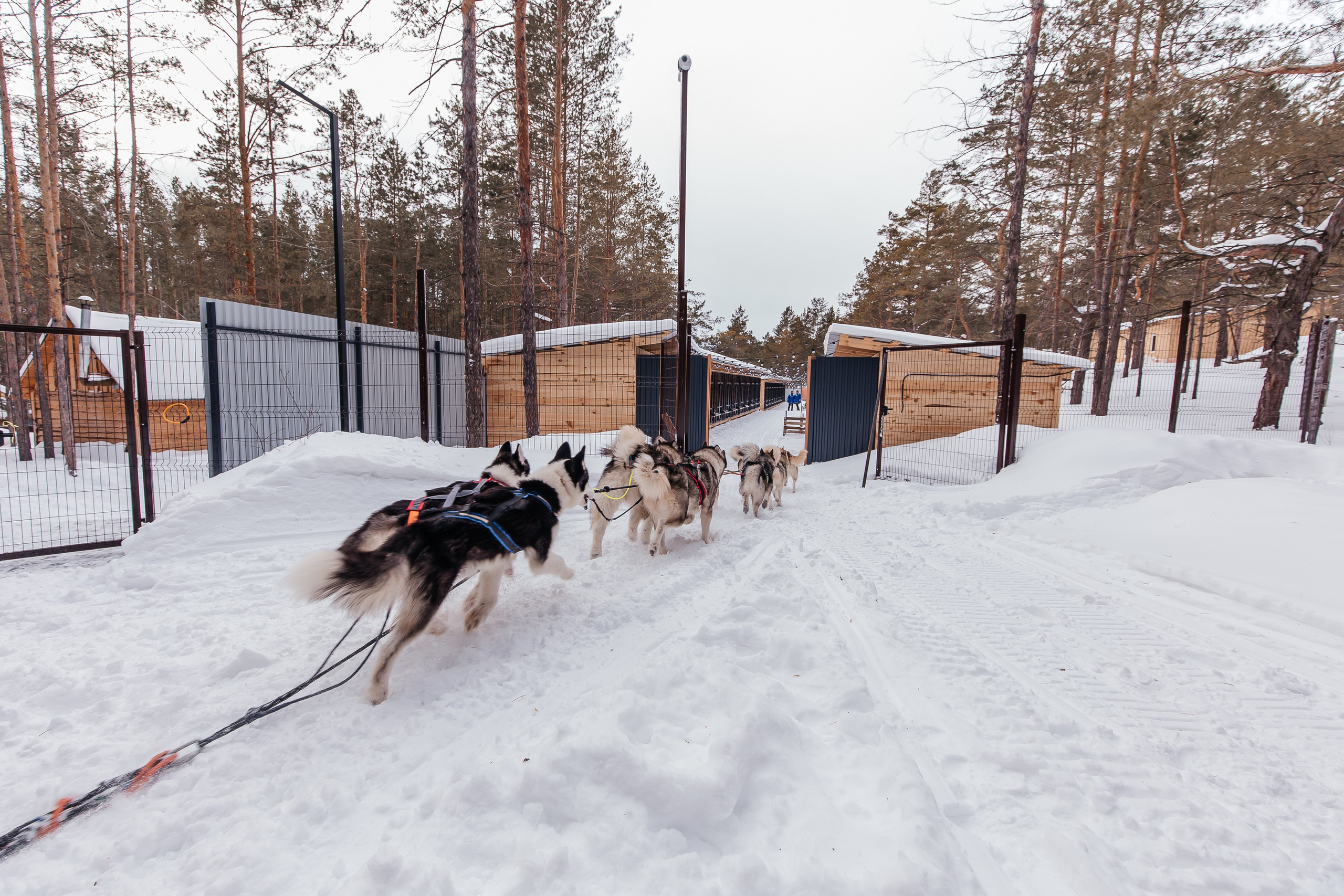 Jaecoo J7 6.0. Фотограф в Самаре / Олеся Широнина
