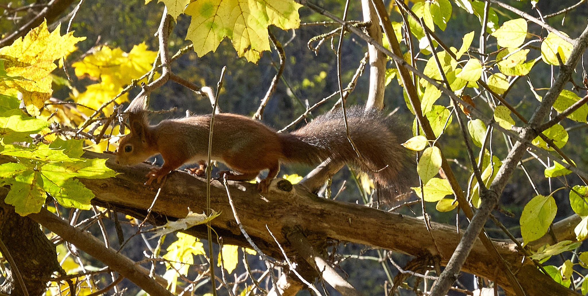 Заповедные уголки Земли: обитатели дикой природы. Координаты красоты — география в фокусе
