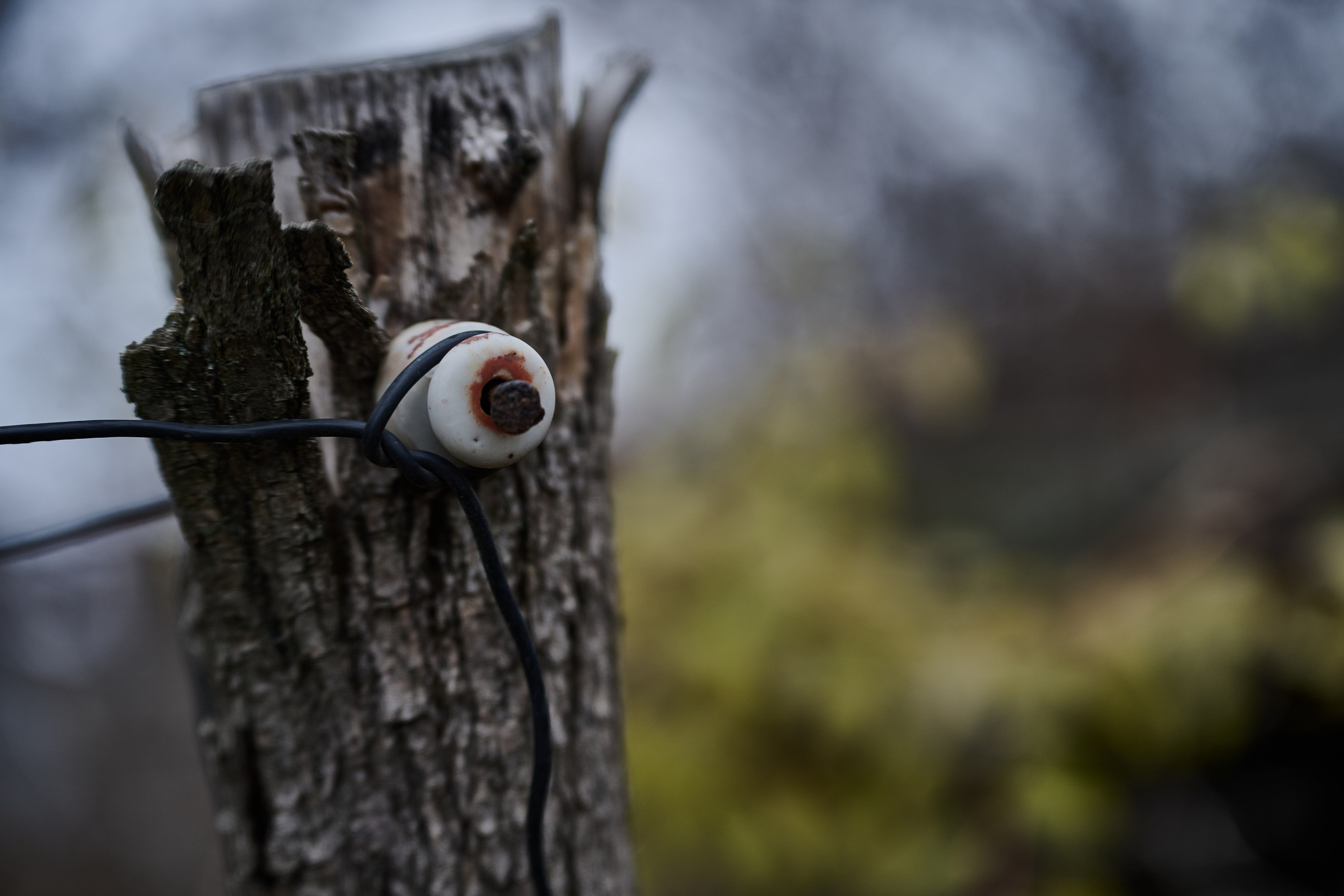 Краснореченское (Луганская область). Ноябрь 2024. Фотограф Роман Адлер