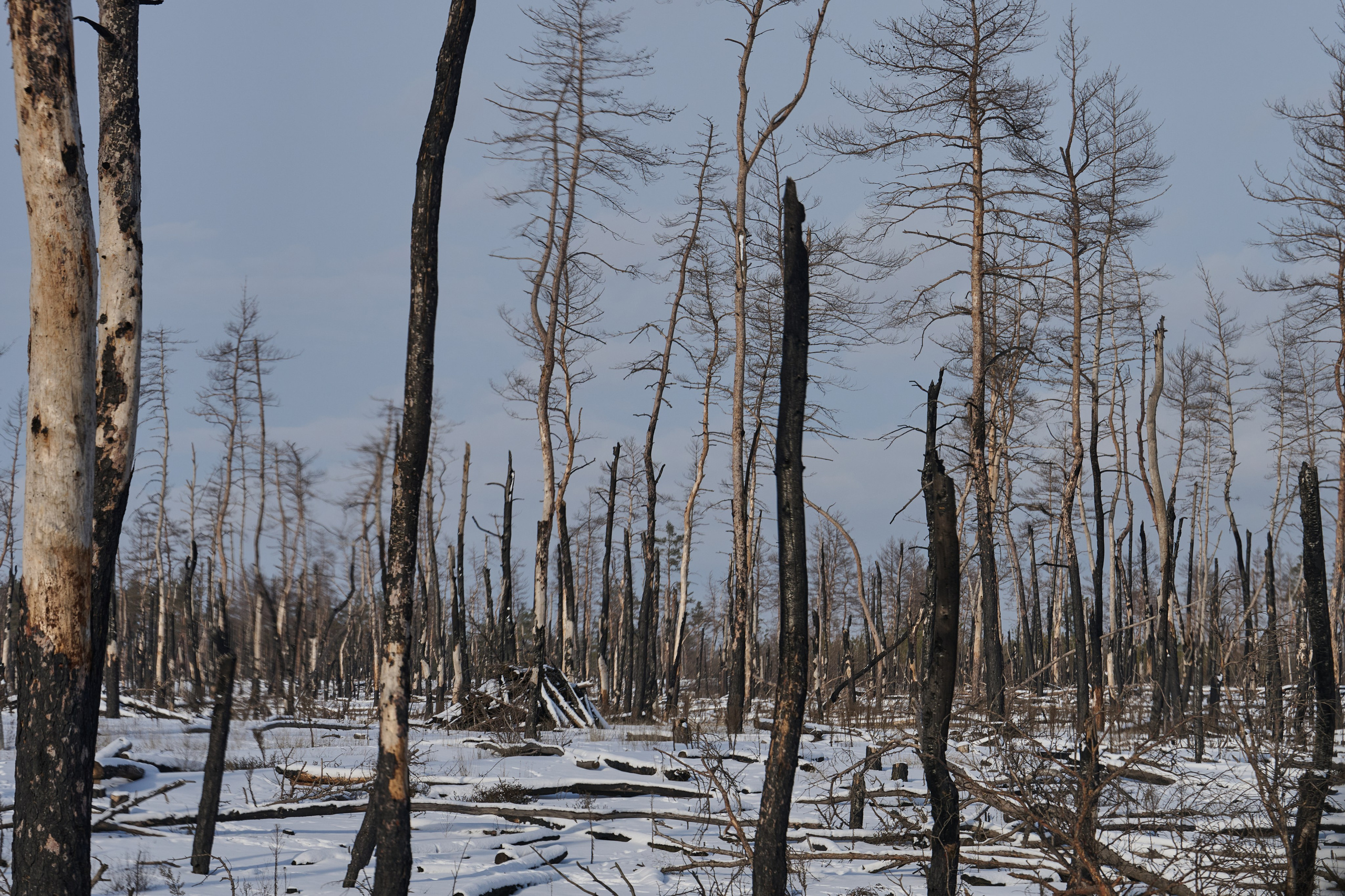 Рубежное. Январь 2026. Фотограф Роман Адлер