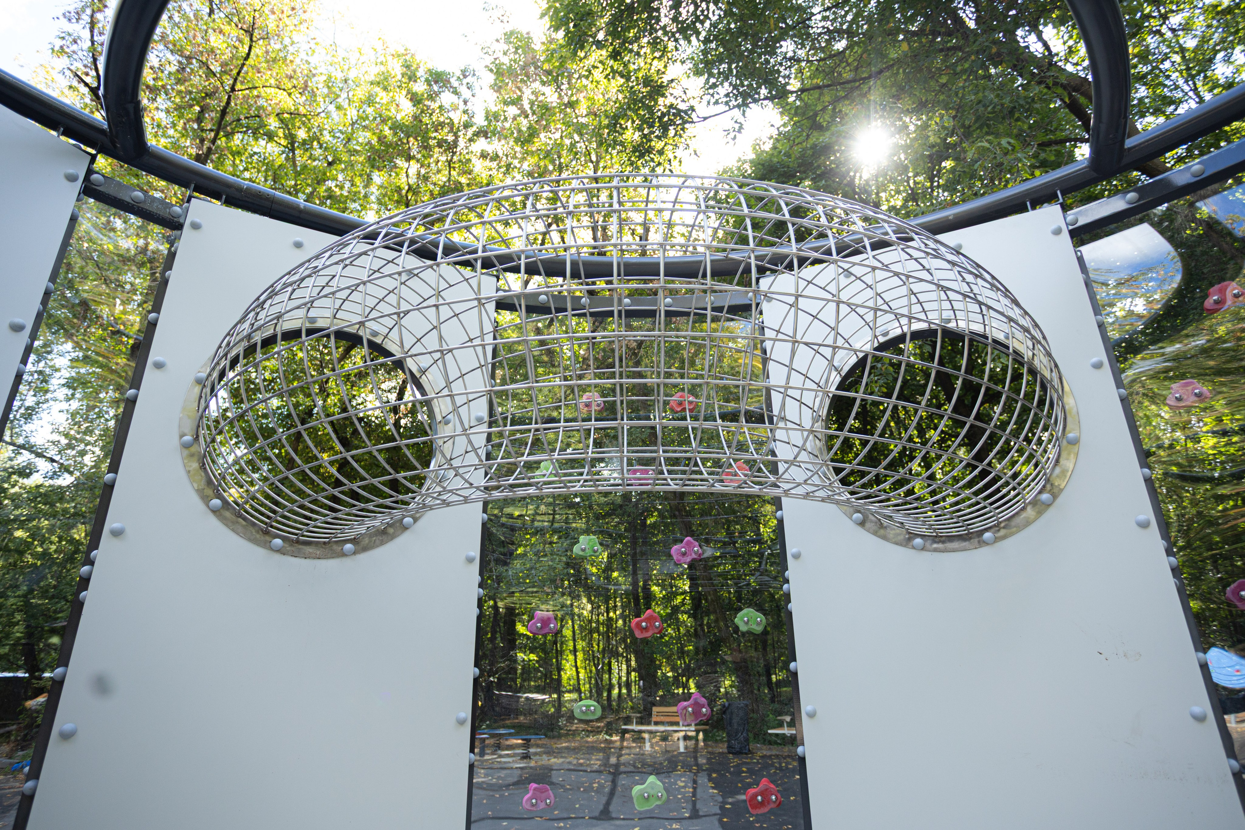 Парк «Сокольники». Фотограф Владислав Кононихин