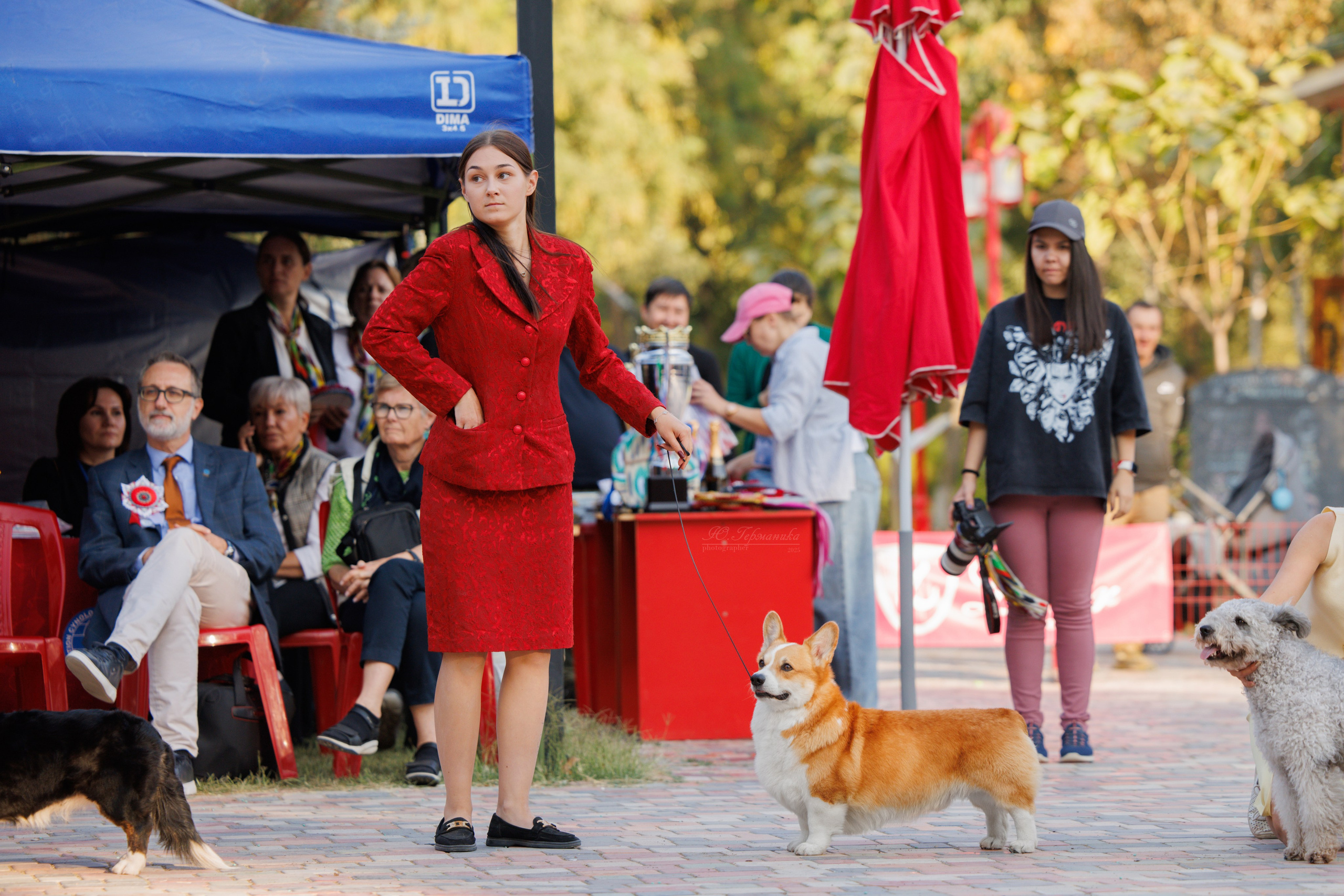 Ташкент 3хCACIB 3-5.10.2025. Фотограф-анималист Юлия Германика