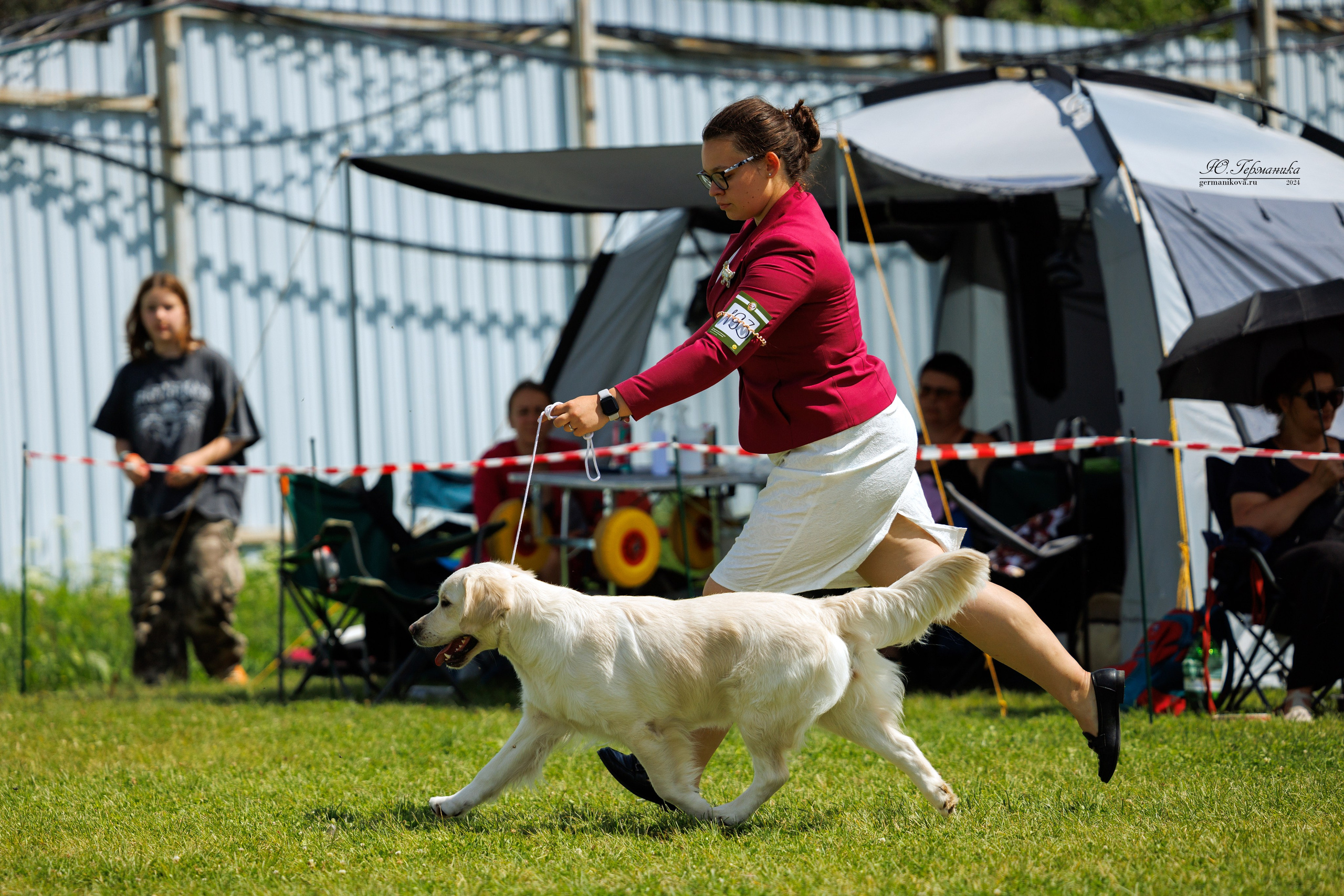 Голдены 15-16.06.2024. Фотограф-анималист Юлия Германика