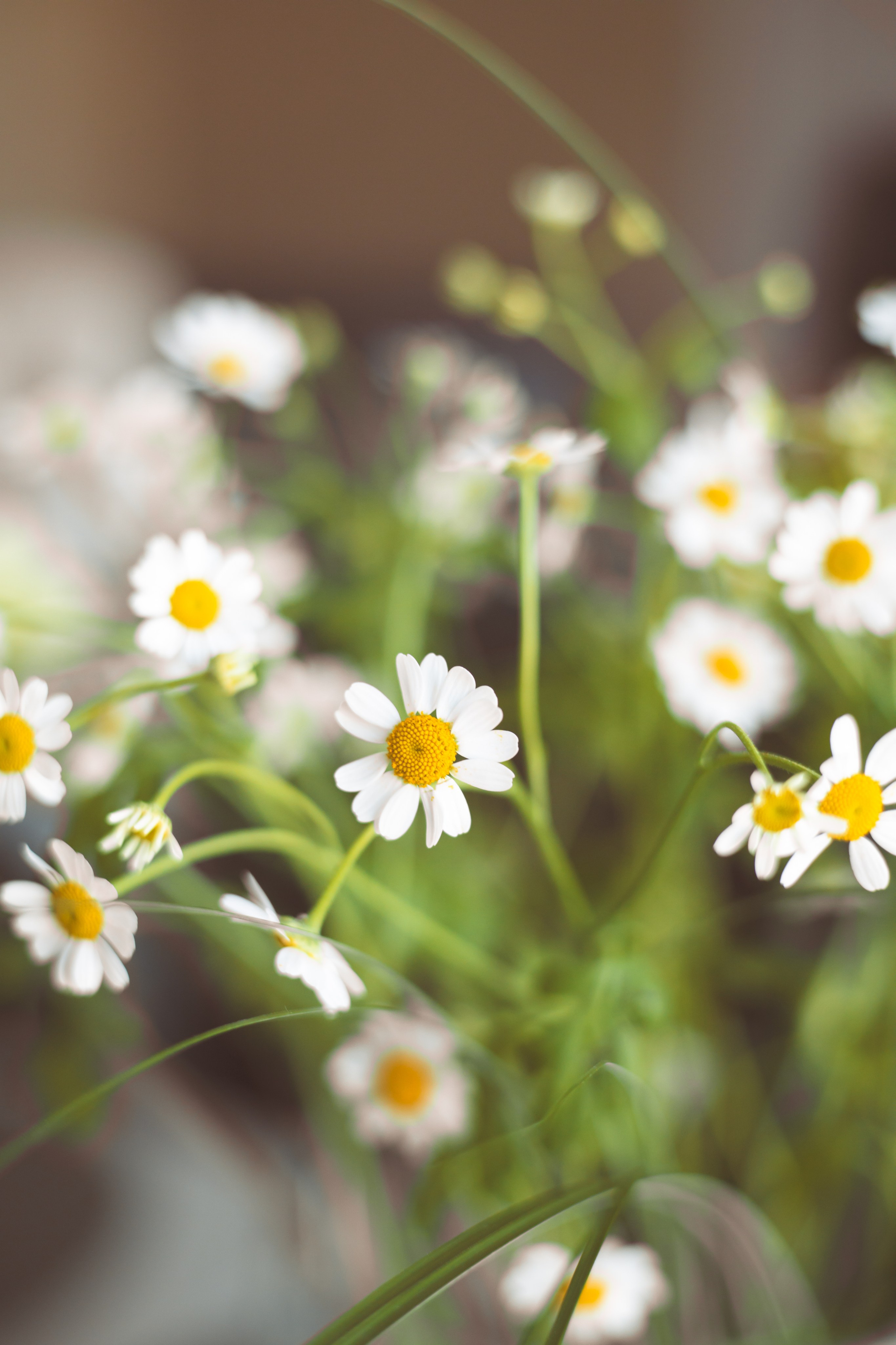 Домашняя съемка