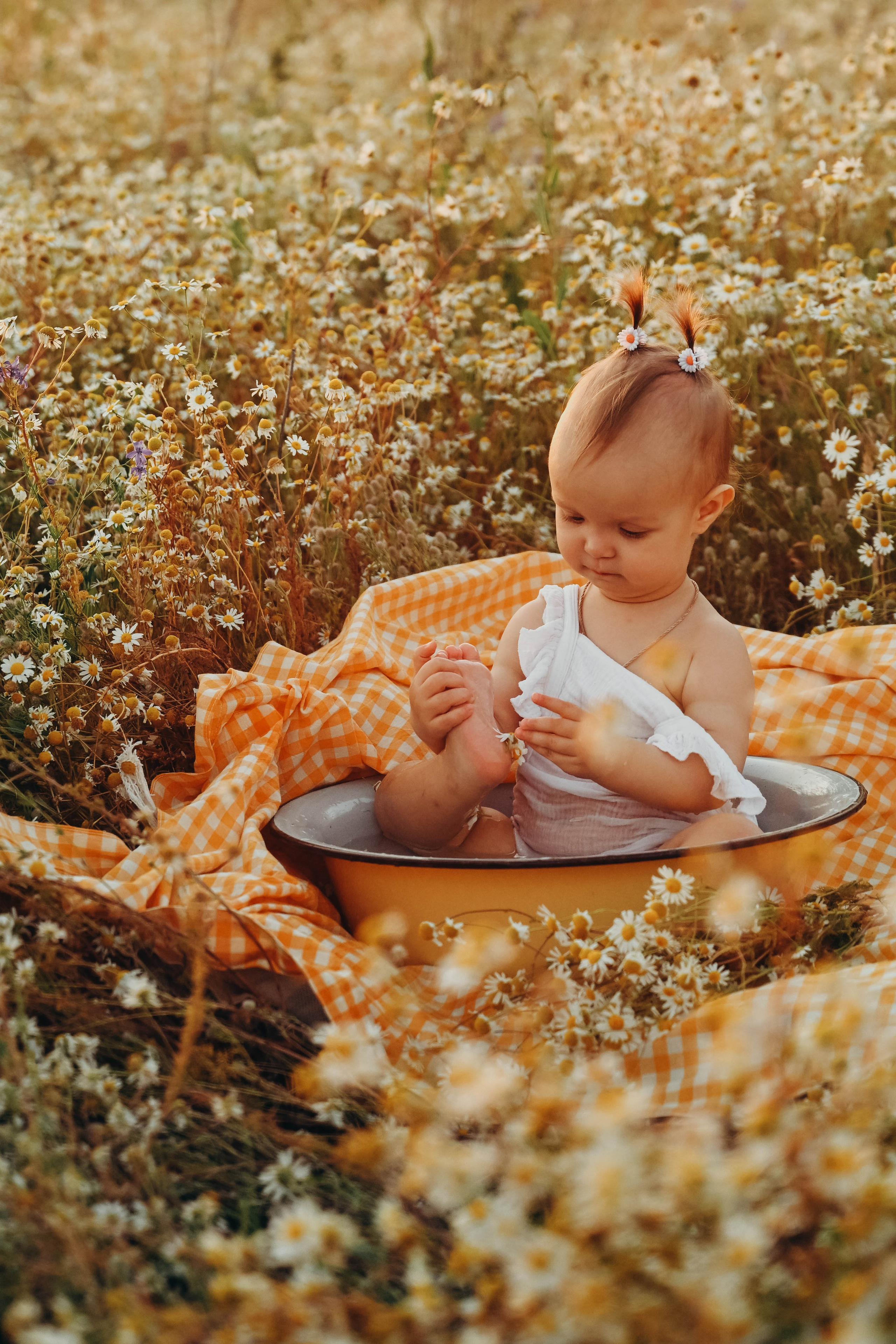 Ромашковое поле. Семейный фотограф в Москве Люберцах Ирина Вронская