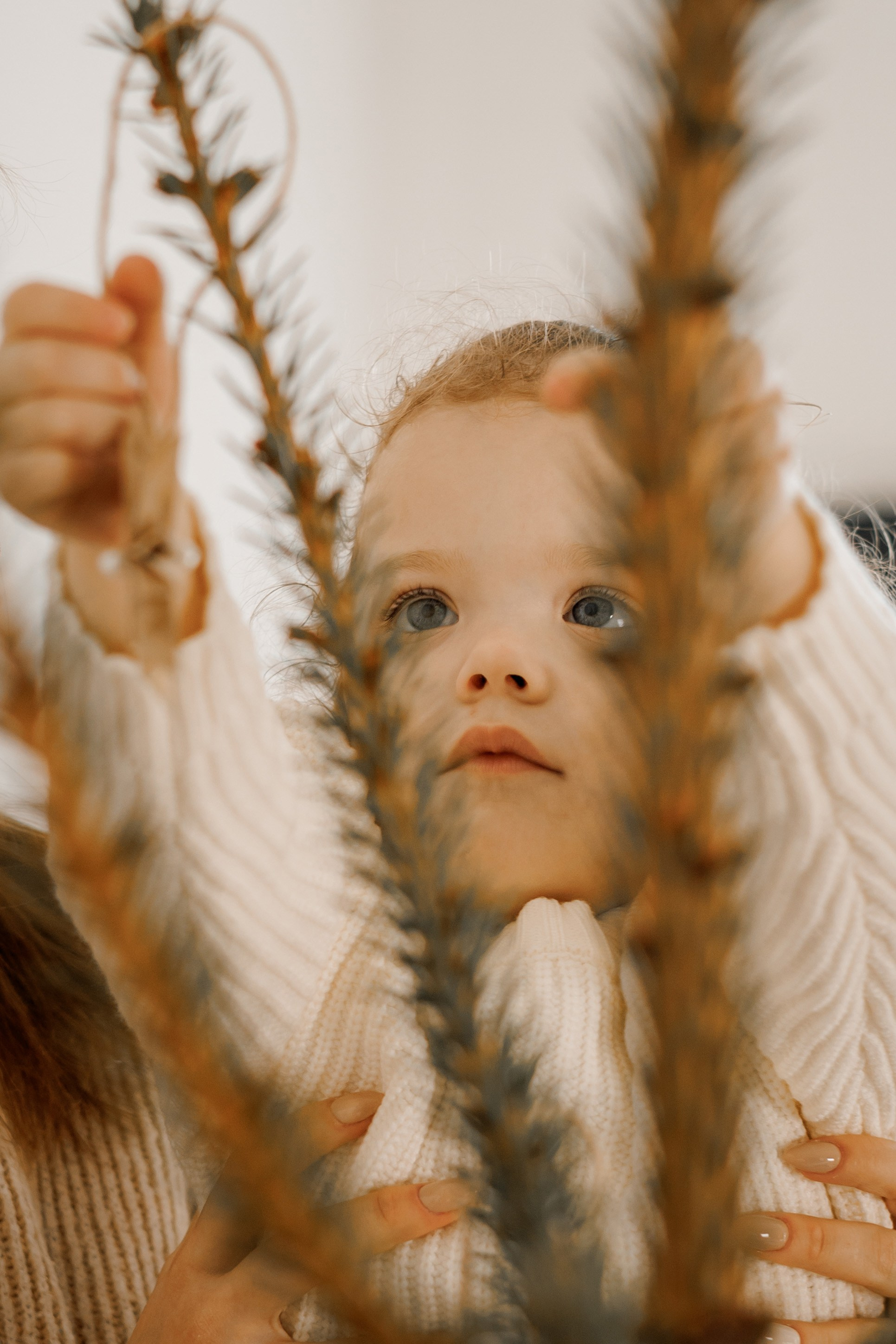 Фотограф биробиджан. Детский и семейный фотограф  Биробиджан Оля Светагор