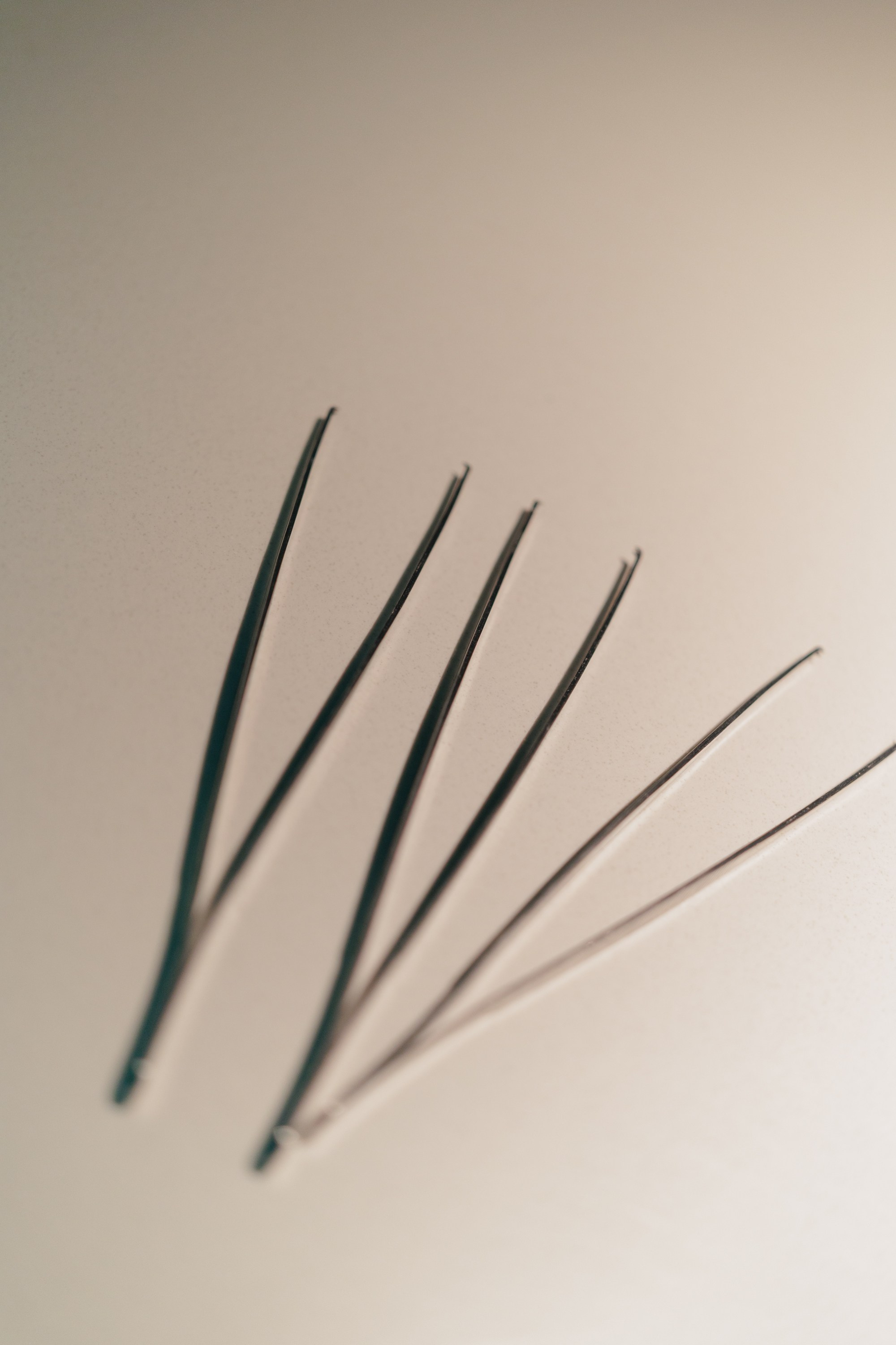 Гастроужин в р.Komorebi (may.25). Свадебный фотограф