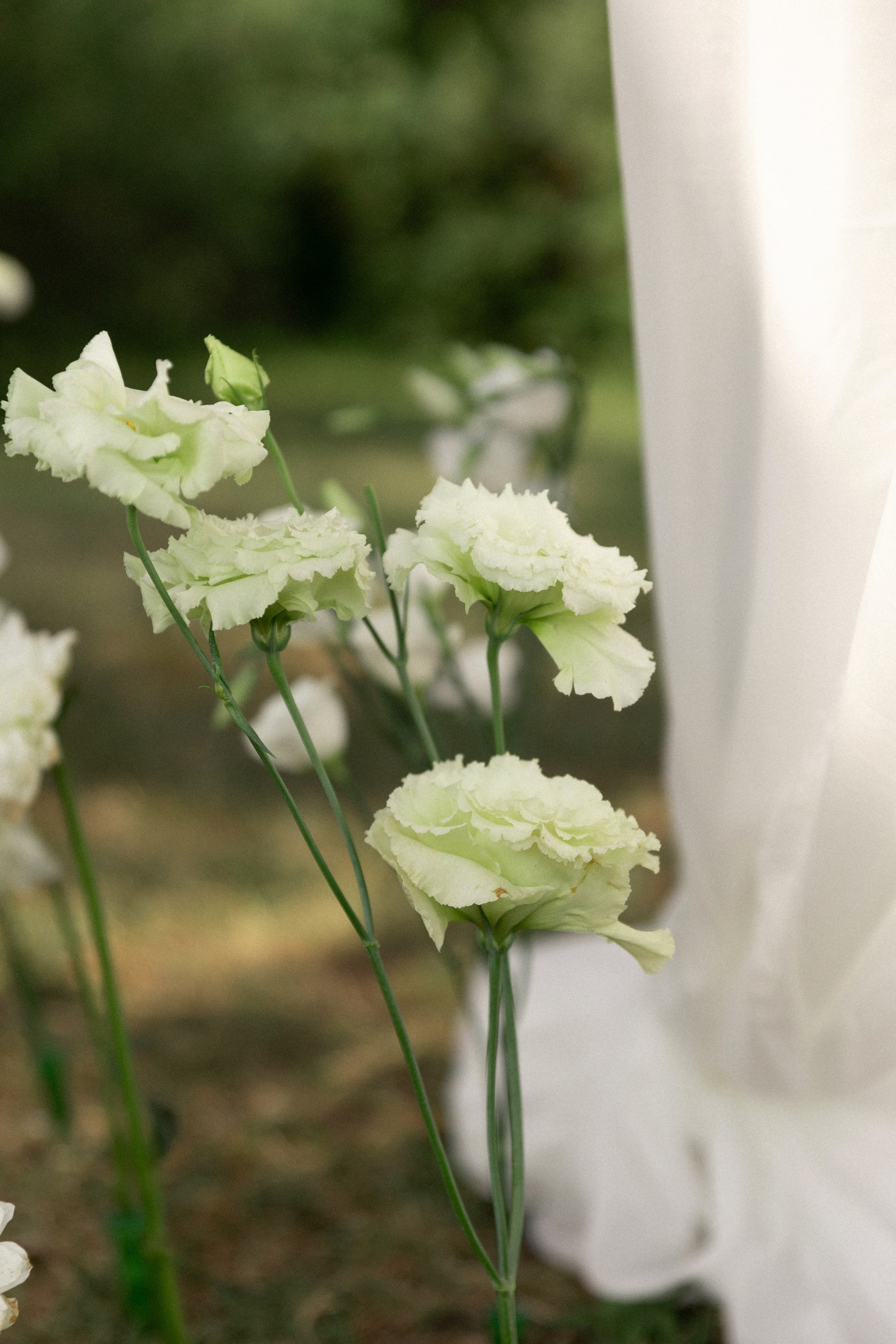 Владислав и Наталья. Свадебный фотограф