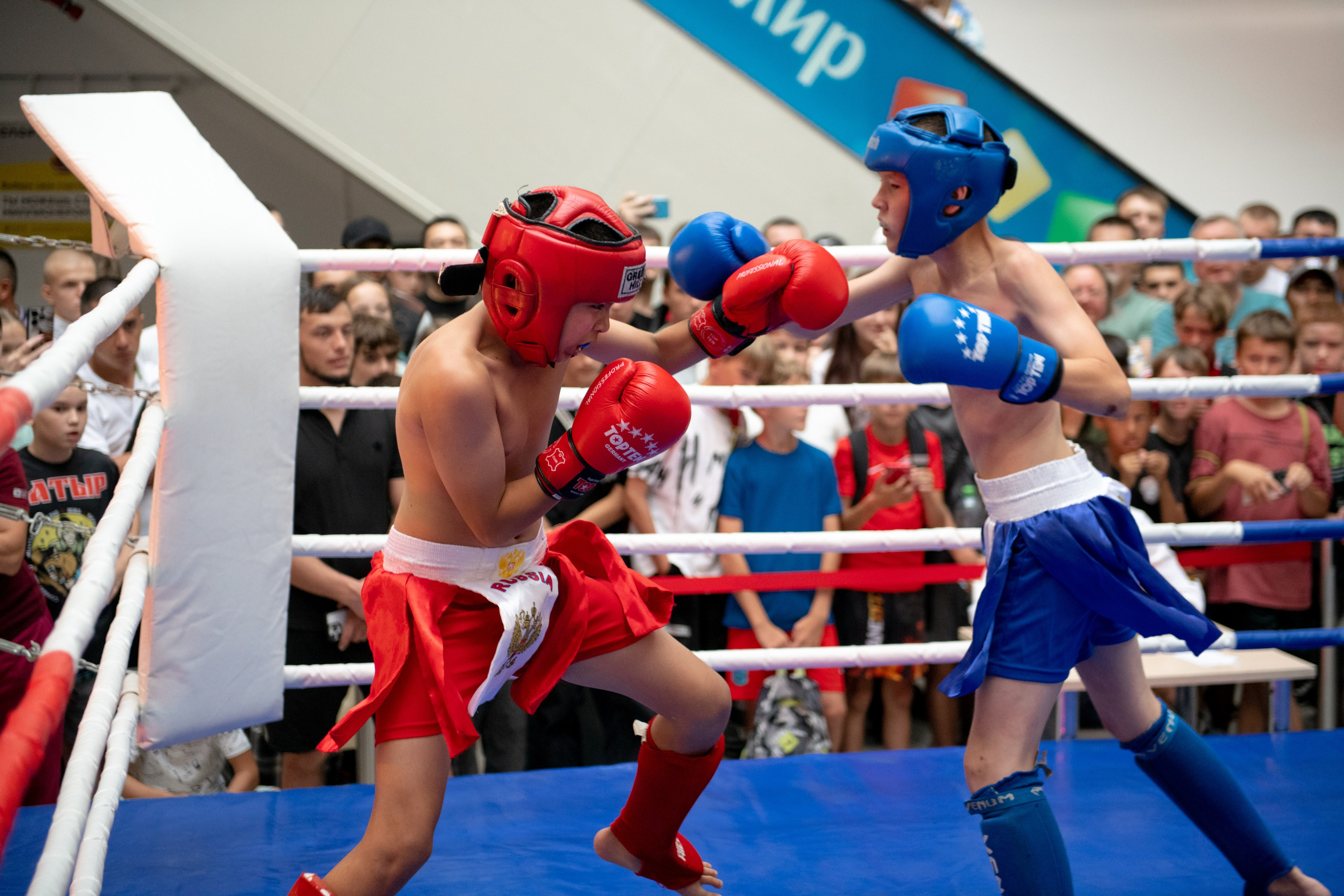 Турнир по боевым искусствам в ТЦ «Сити Молл». Репортажный фотограф в Стерлитамаке Дмитрий Соколов