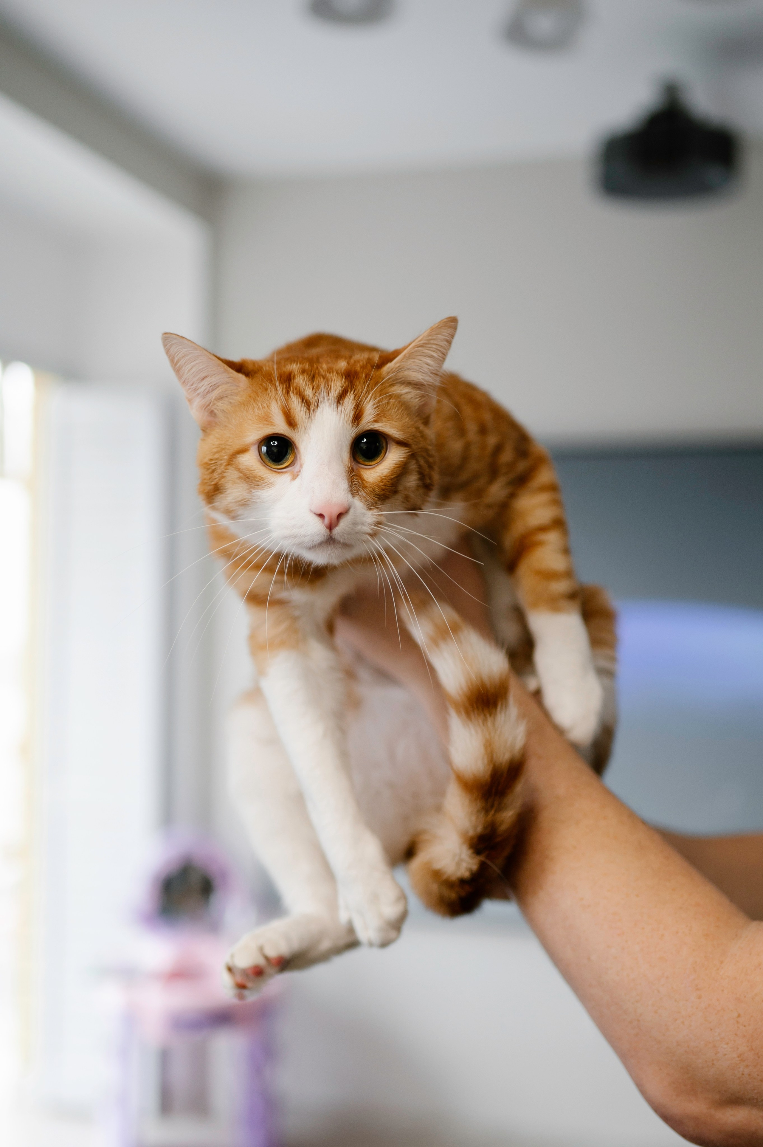 Детские праздники. Фотограф Тверь