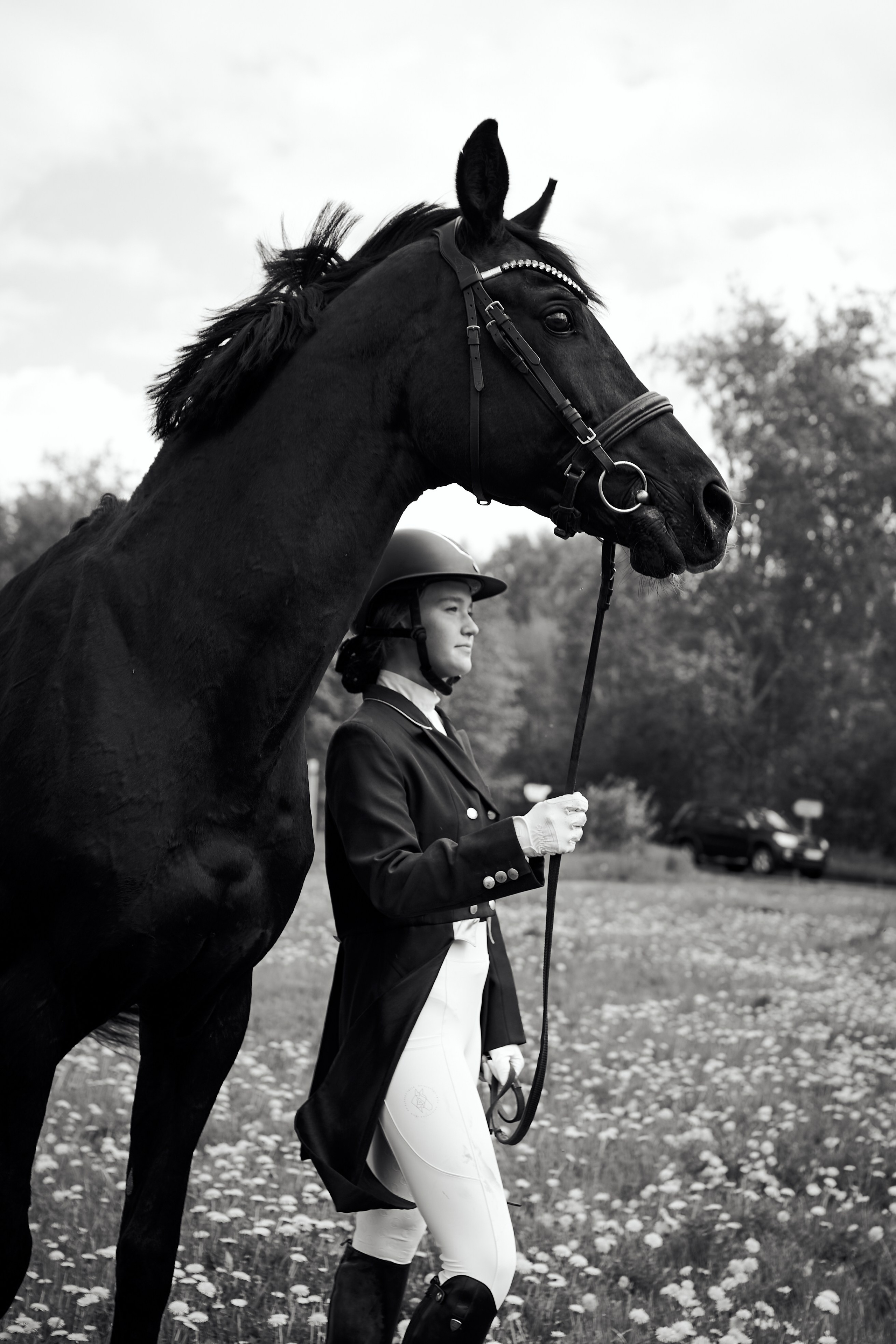 Полина и Парламент. Фотосессии с лошадьми в Москве, Новосибирске