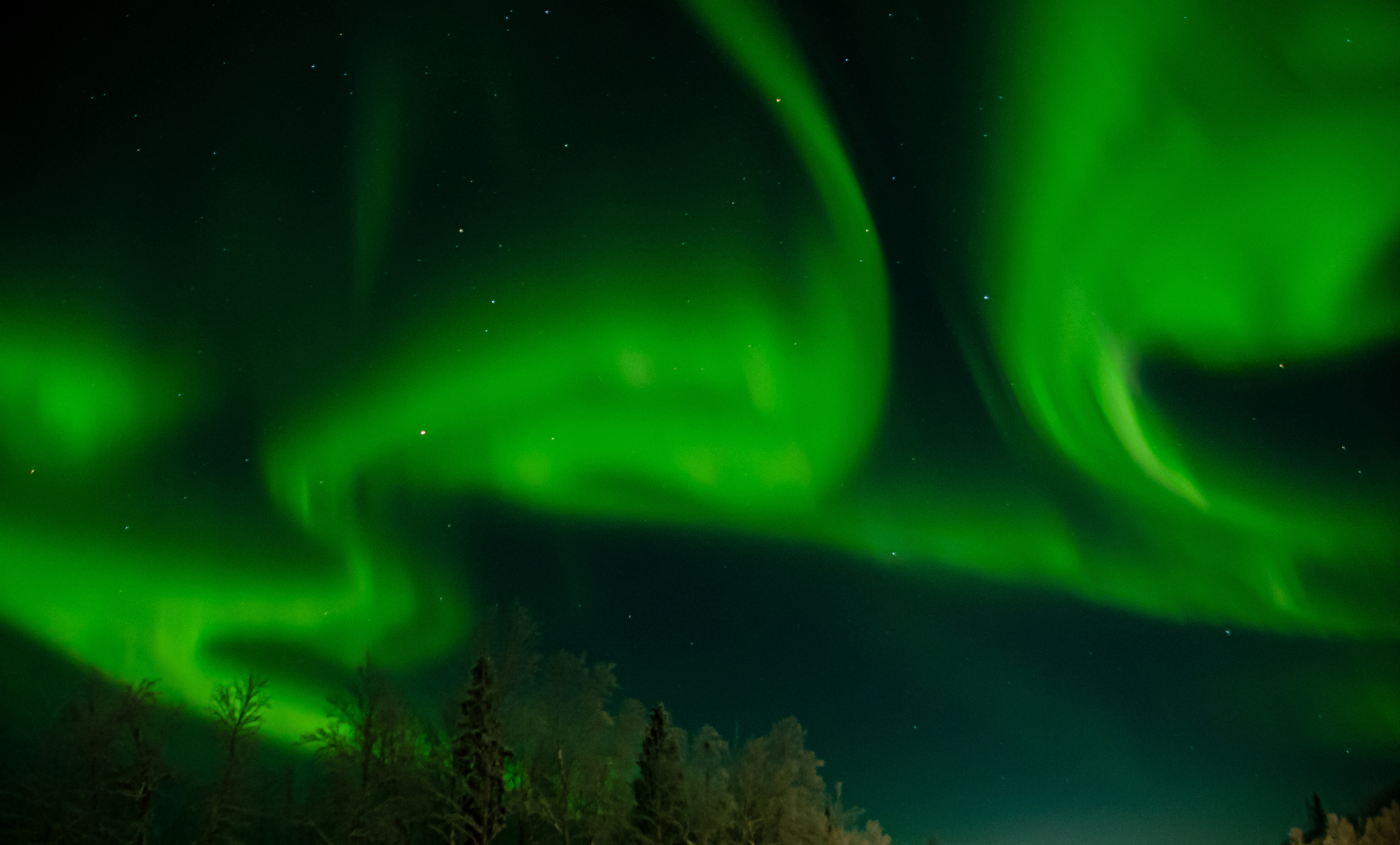 Вы когда-нибудь мечтали увидеть северное сияние?. Семейный  и свадебный фотограф в Мурманске Мария Шепелева