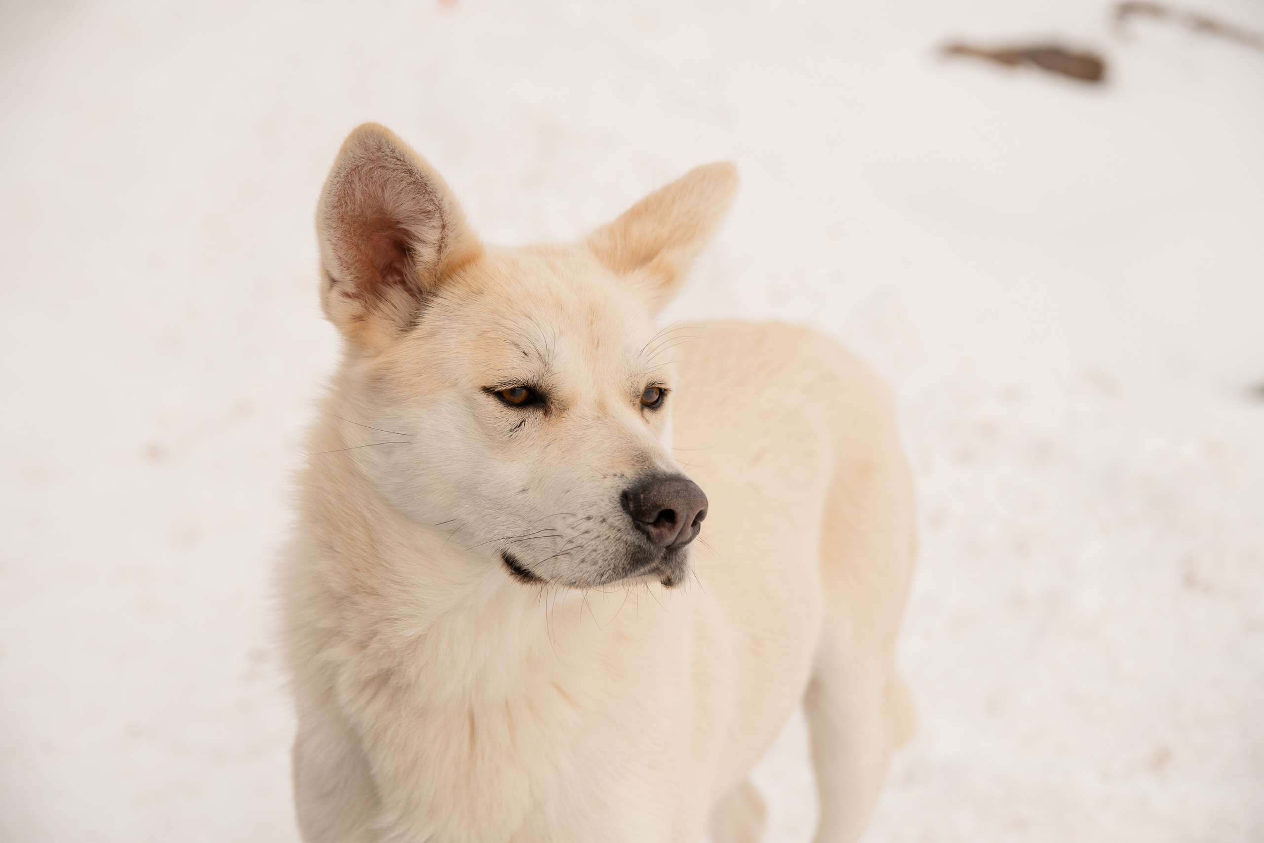 Териберка — край земли на Баренцевом море. Семейный  и свадебный фотограф в Мурманске Мария Шепелева