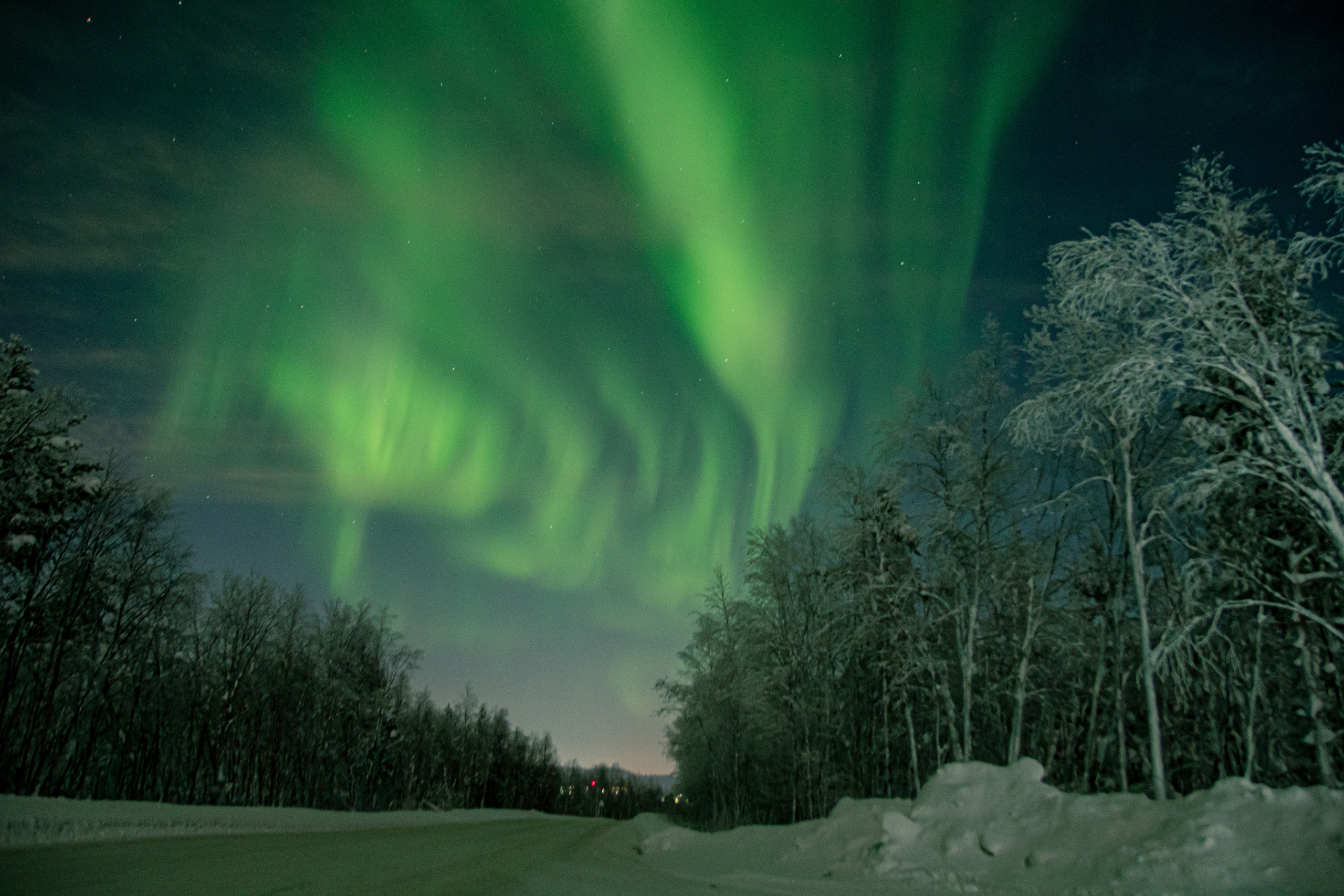 Вы когда-нибудь мечтали увидеть северное сияние?. Семейный  и свадебный фотограф в Мурманске Мария Шепелева