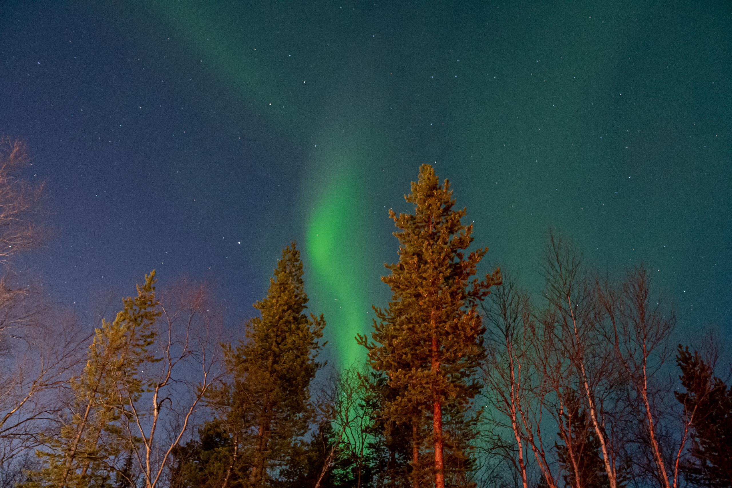 Вы когда-нибудь мечтали увидеть северное сияние?. Семейный  и свадебный фотограф в Мурманске Мария Шепелева