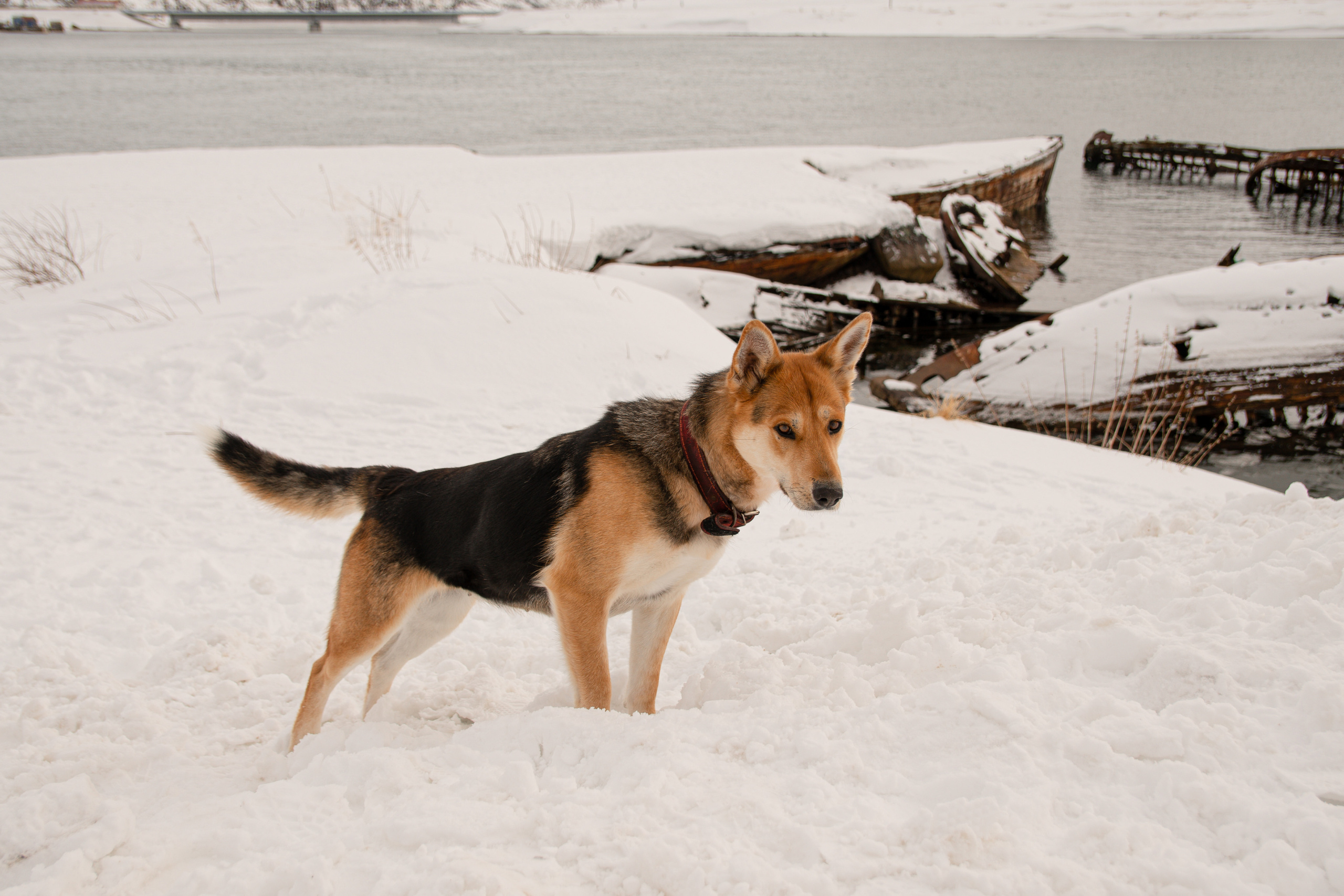 Териберка — край земли на Баренцевом море. Семейный  и свадебный фотограф в Мурманске Мария Шепелева