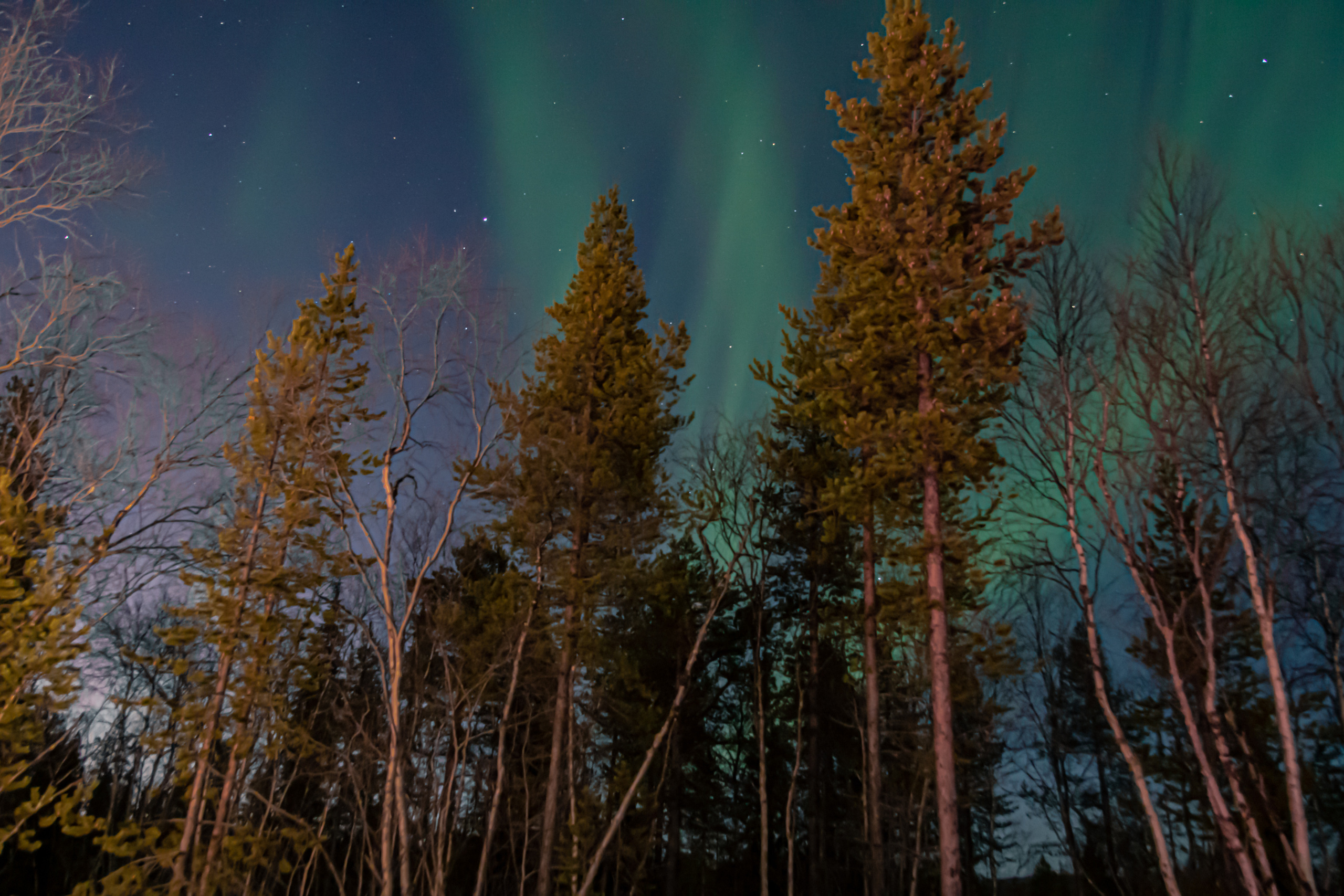Вы когда-нибудь мечтали увидеть северное сияние?. Семейный  и свадебный фотограф в Мурманске Мария Шепелева