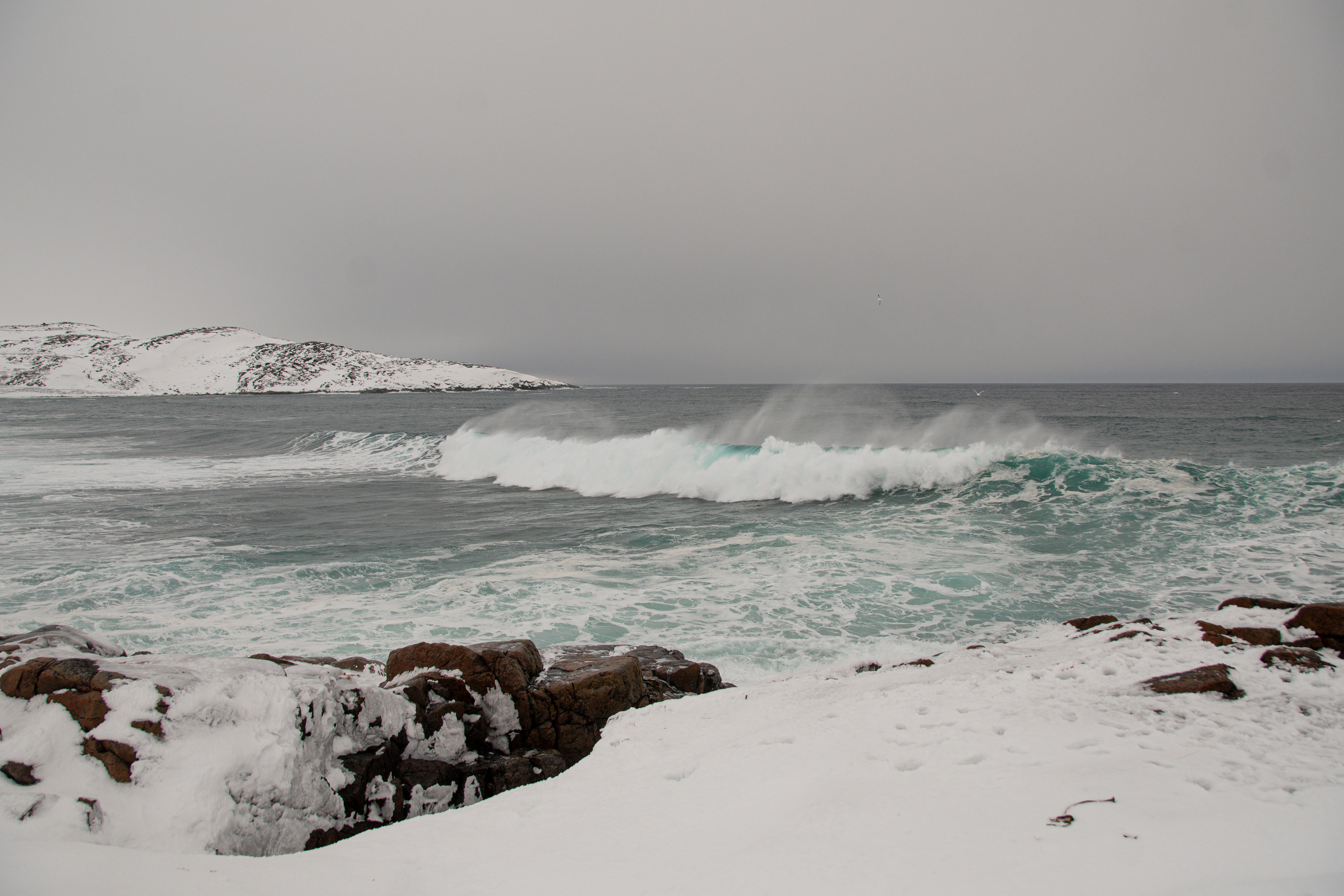 Териберка — край земли на Баренцевом море. Семейный  и свадебный фотограф в Мурманске Мария Шепелева