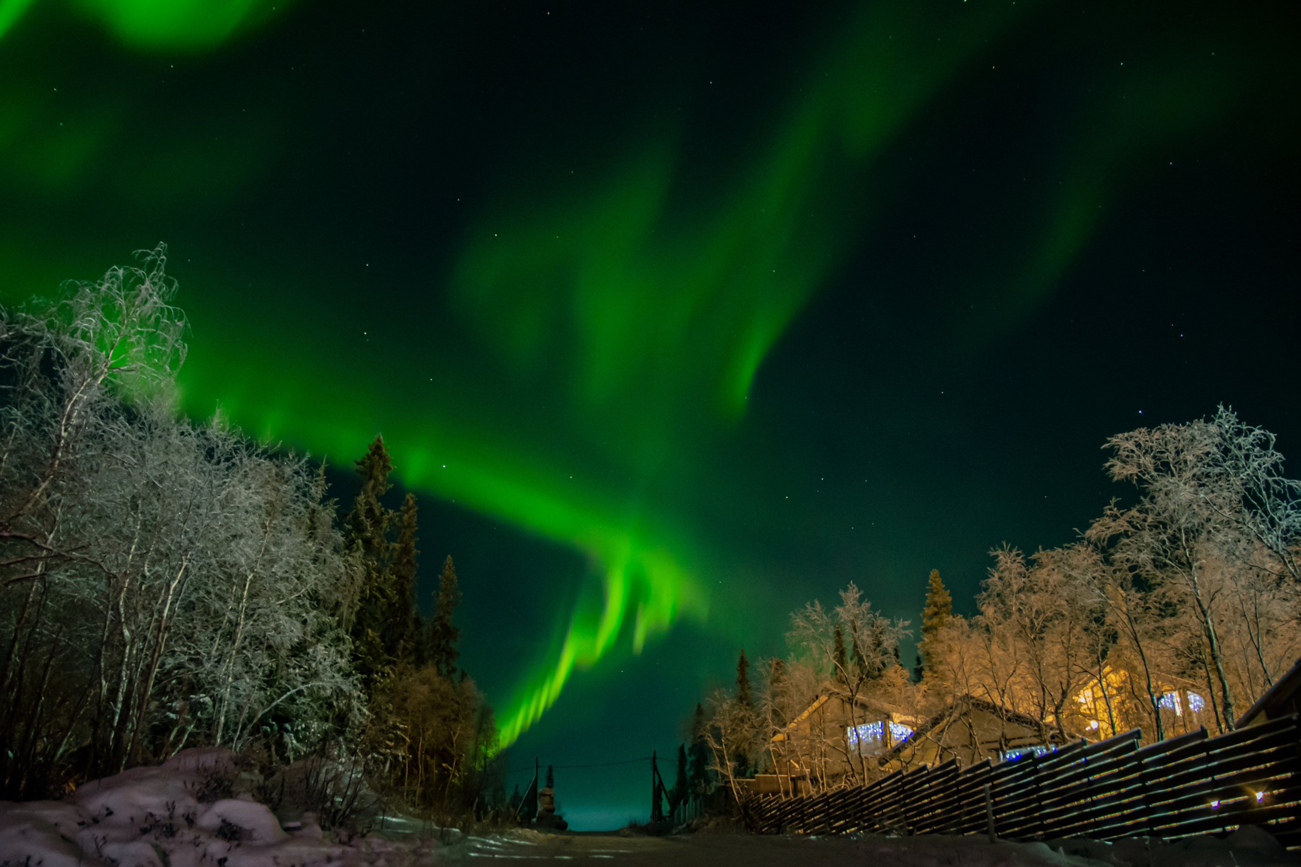 Вы когда-нибудь мечтали увидеть северное сияние?. Семейный  и свадебный фотограф в Мурманске Мария Шепелева