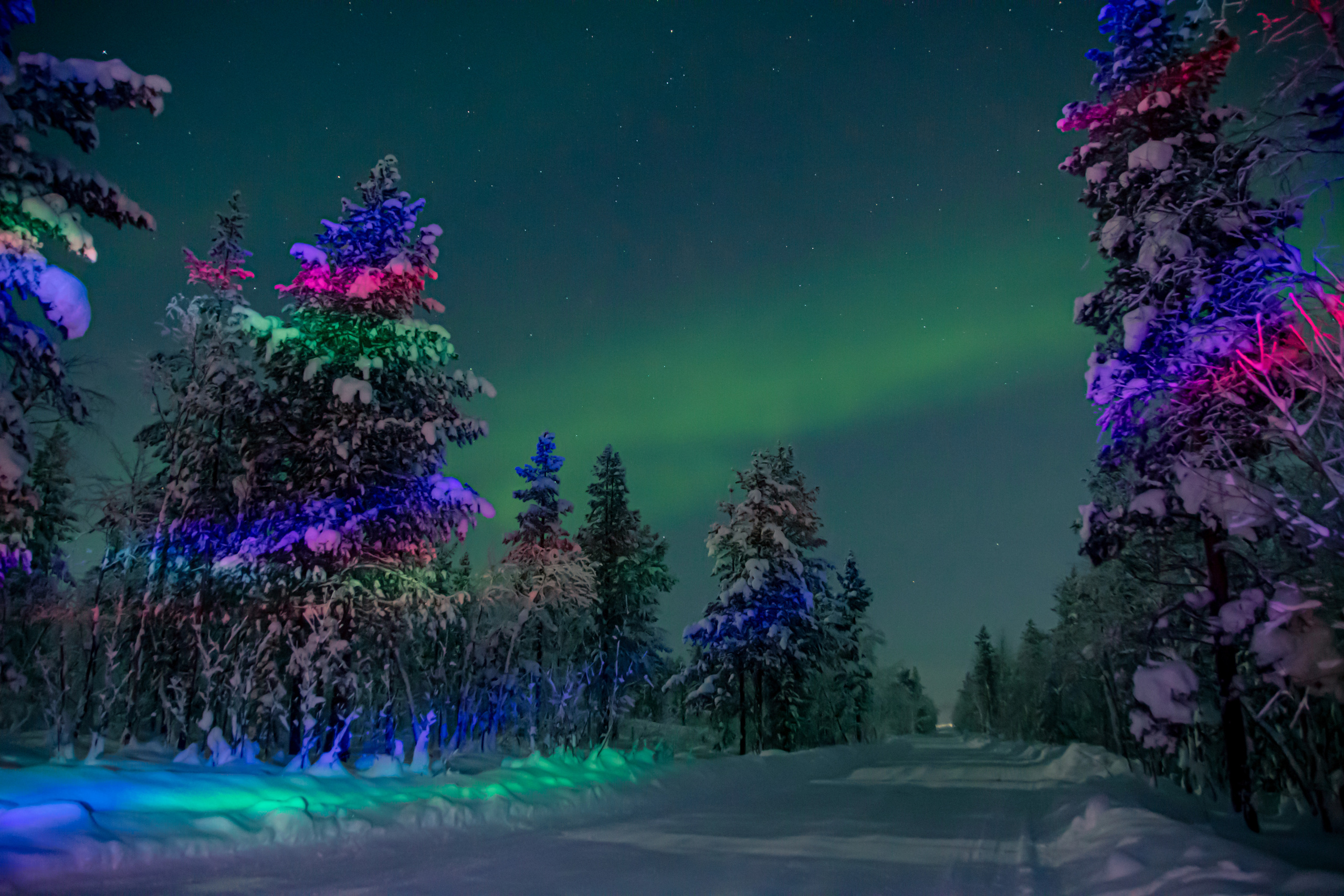 Вы когда-нибудь мечтали увидеть северное сияние?. Семейный  и свадебный фотограф в Мурманске Мария Шепелева