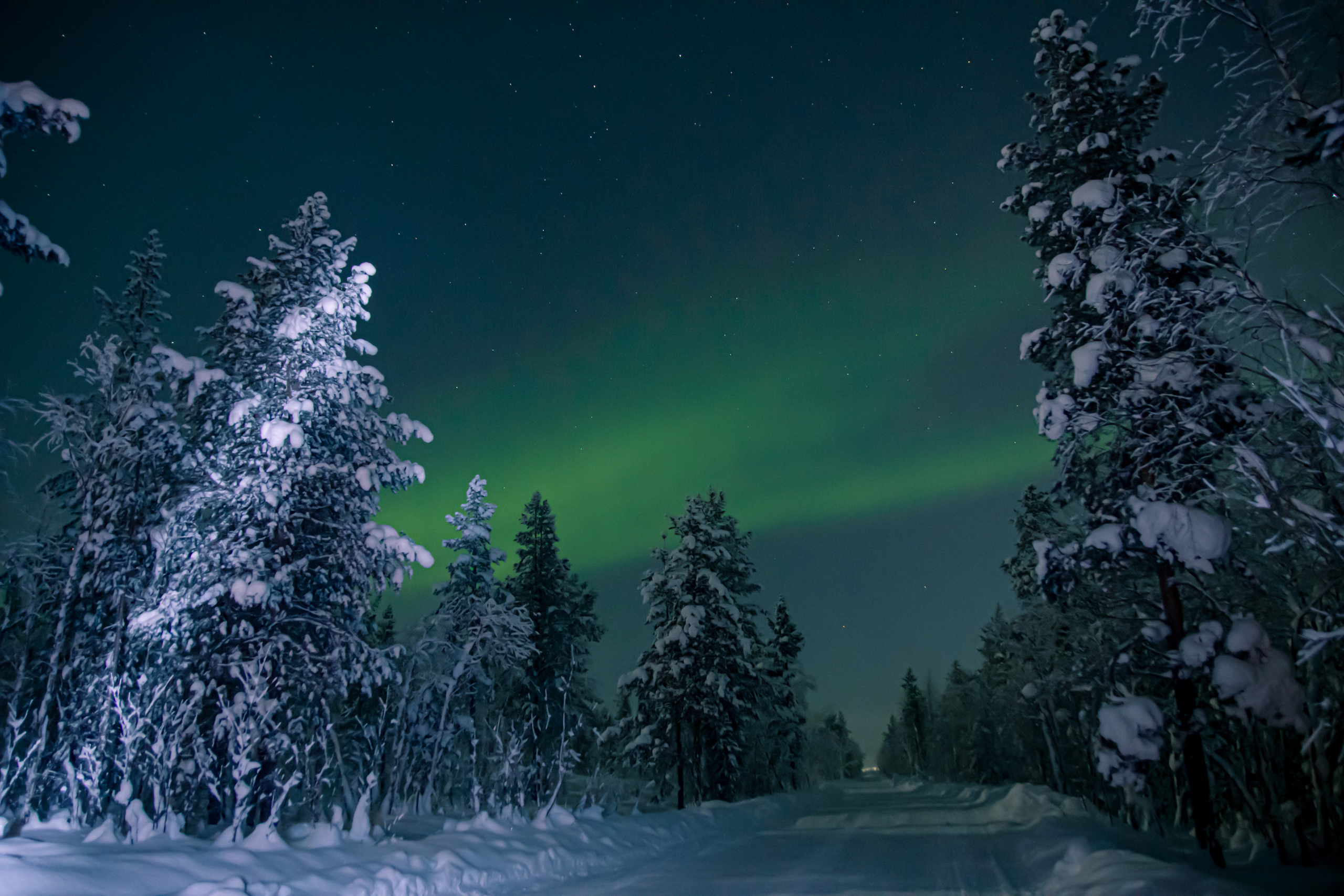 Вы когда-нибудь мечтали увидеть северное сияние?. Семейный  и свадебный фотограф в Мурманске Мария Шепелева