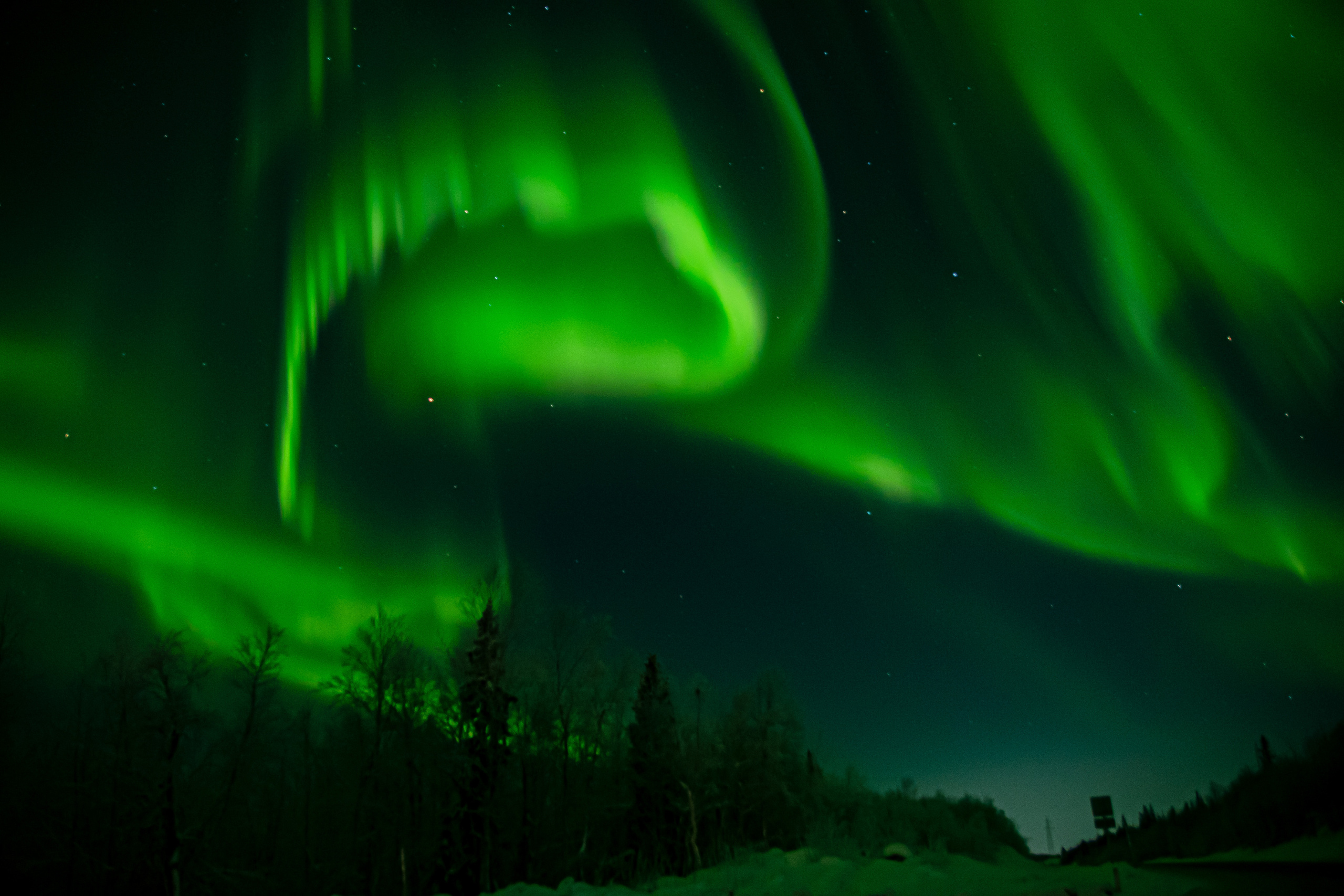 Вы когда-нибудь мечтали увидеть северное сияние?. Семейный  и свадебный фотограф в Мурманске Мария Шепелева