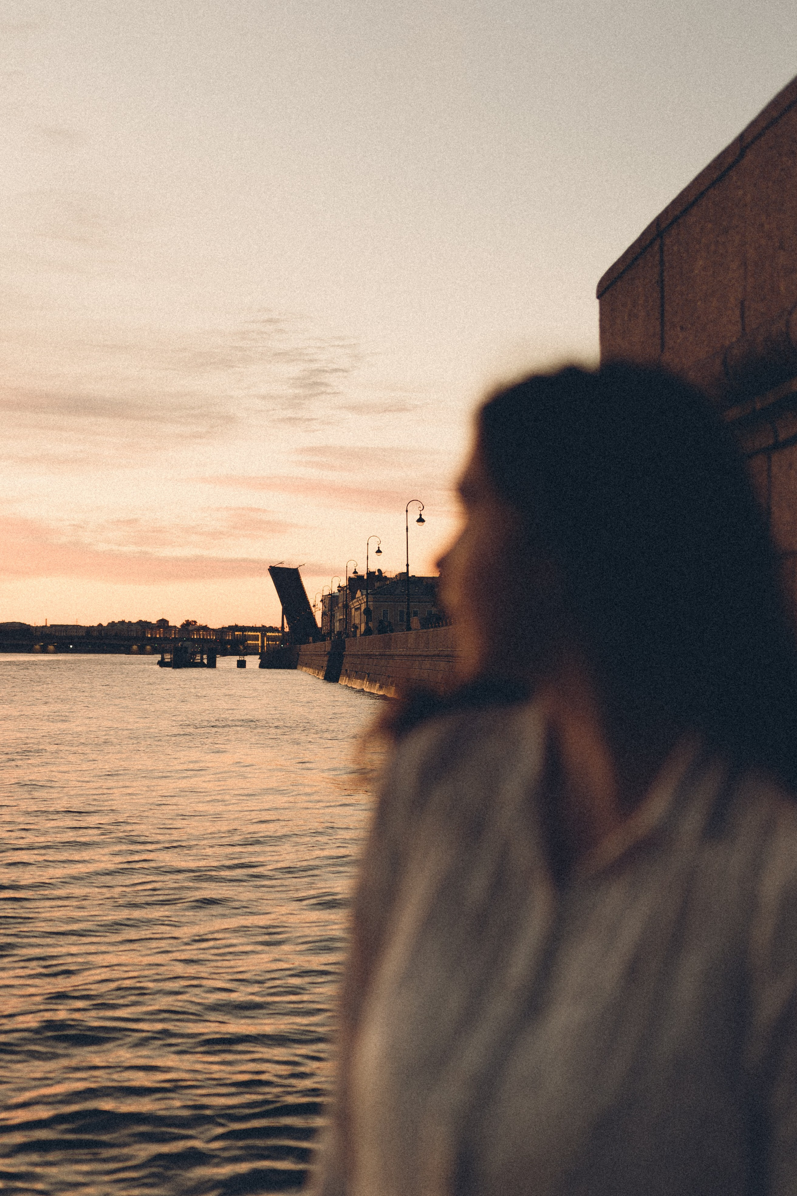 РАССВЕТ С РАЗВОДНЫМИ МОСТАМИ. Профессиональный фотограф, Санкт-Петербург — Виктория Богомолова