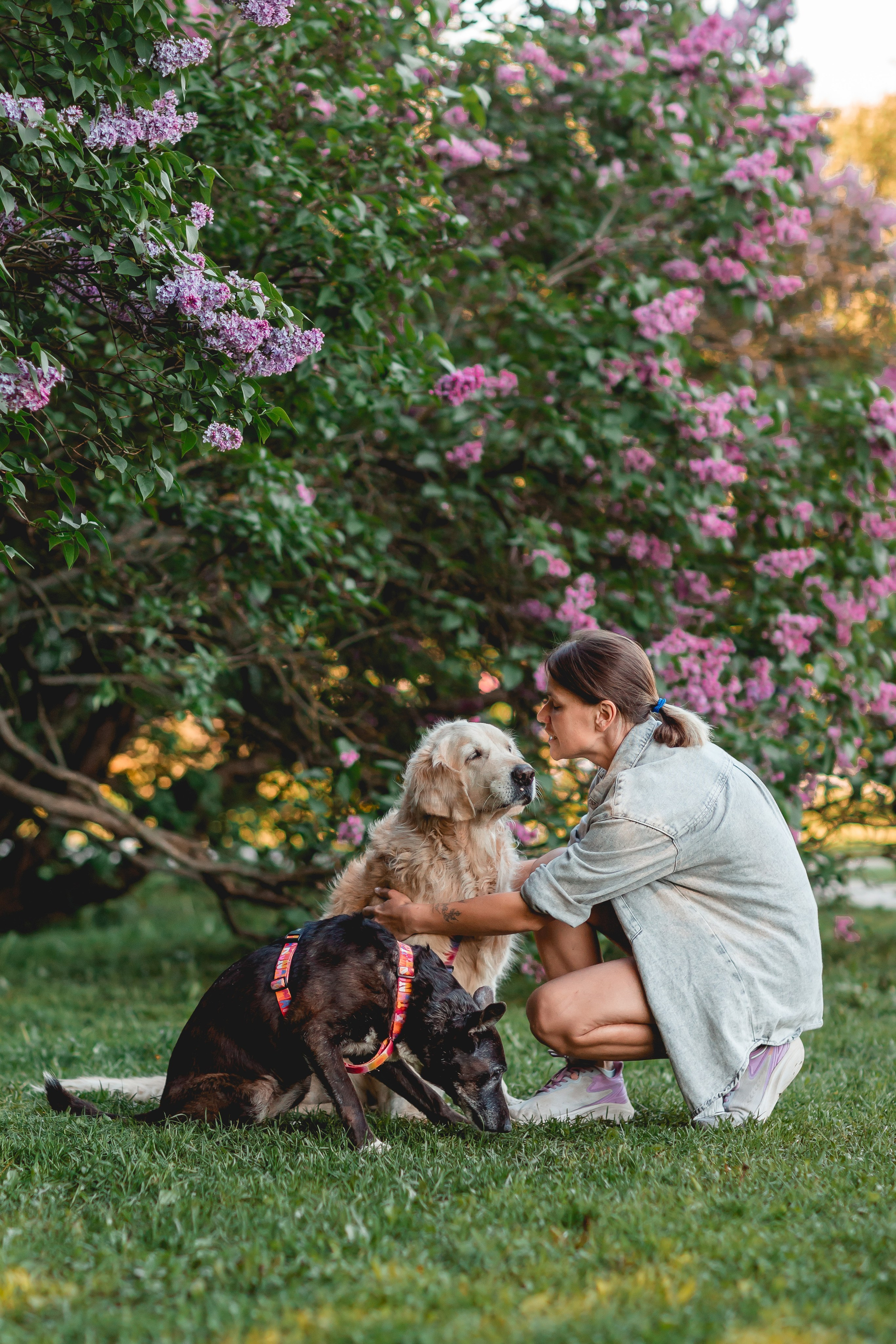 Ира, Альма и Белла. Семейный фотограф анималист Мария Крючкова