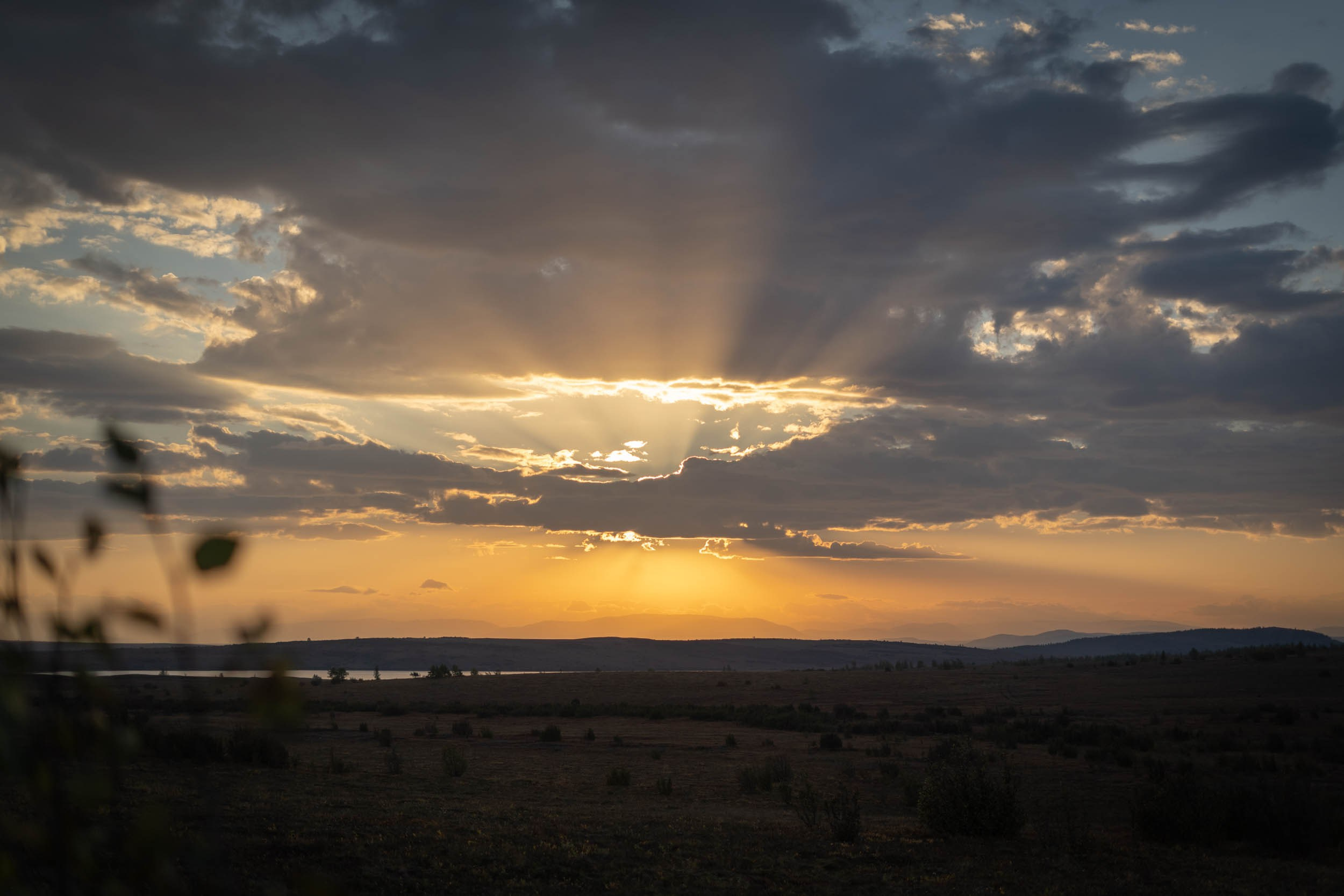 Рифы девонского моря. Фотограф Екатерина Зорина