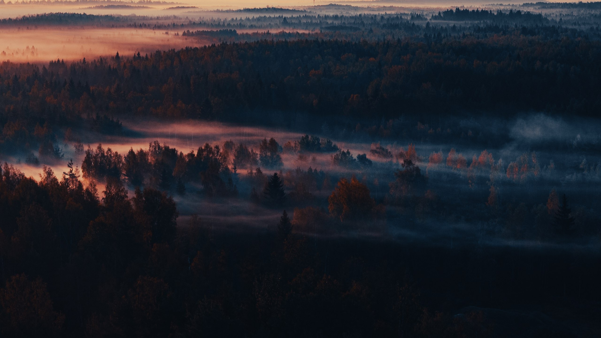 Аэросъемка / съемка с квадрокоптера. Студия визуального контента в Санкт-Петербурге и Москве