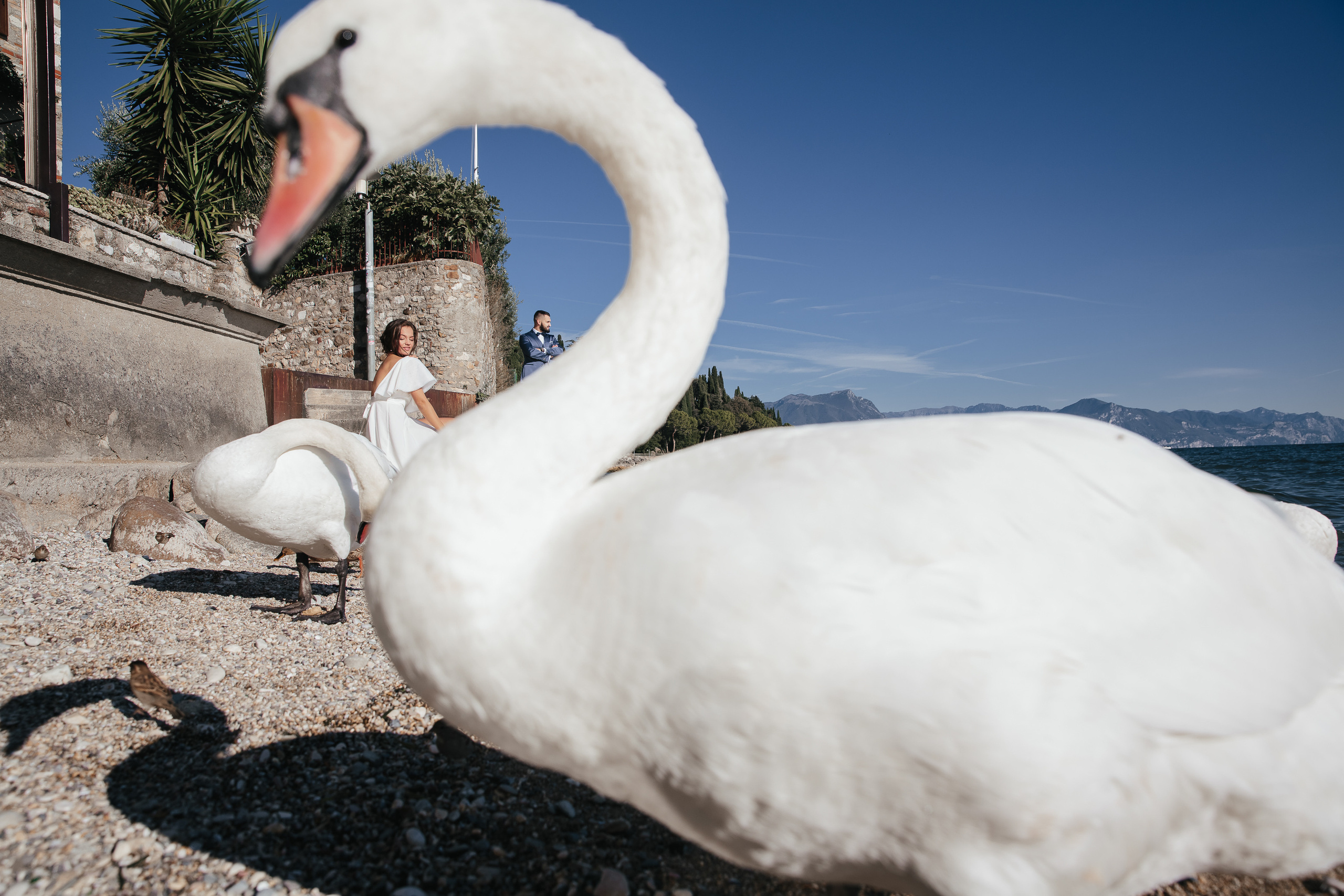 Саша и Марина. Свадьба на озере Гарда. Саша Потапкин Фотограф. Сочи, Екатеринбург, Москва