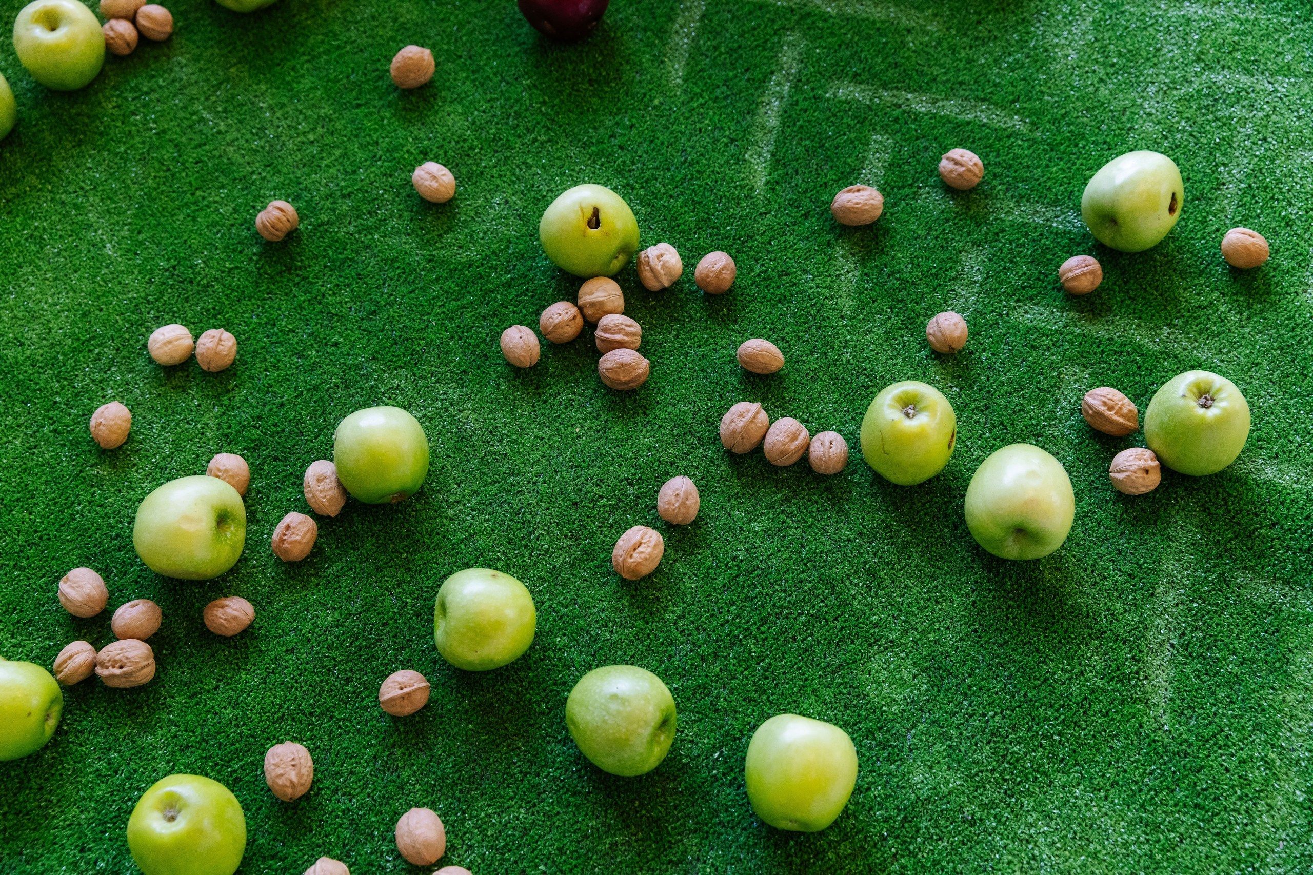 ЭКСПО. Фотограф Николай Петрушкин | Ставрополь, Москва