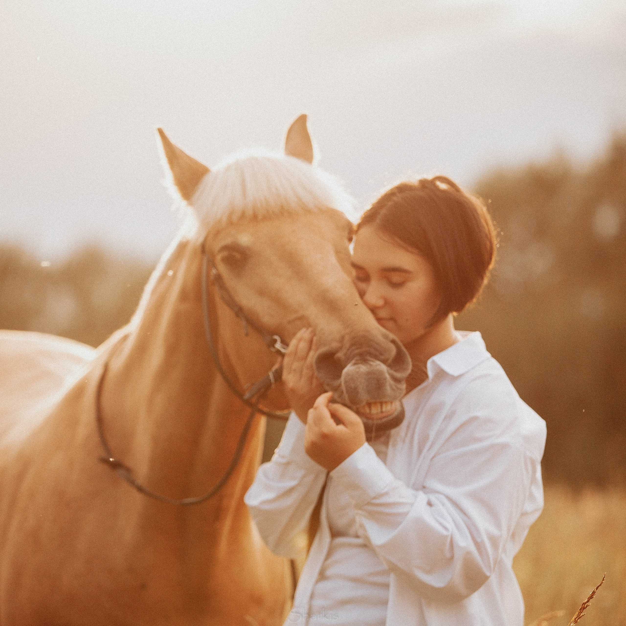 Алина и Гешефт. Главная