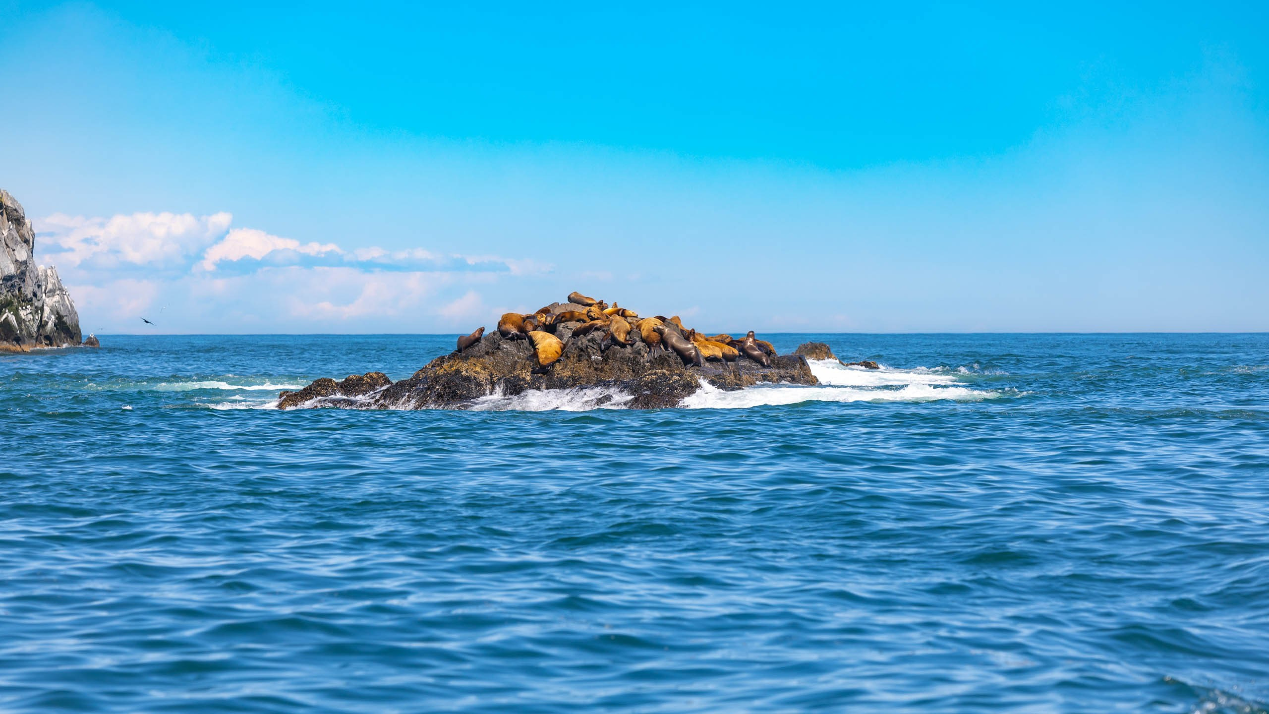 2023 07 Камчатка. Фотографии