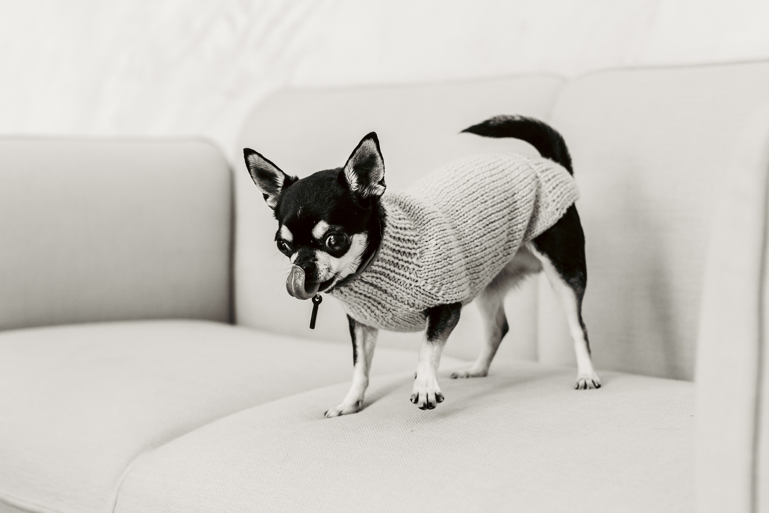 Семейная фотосессия. Фотограф-анималист Татьяна Степанова