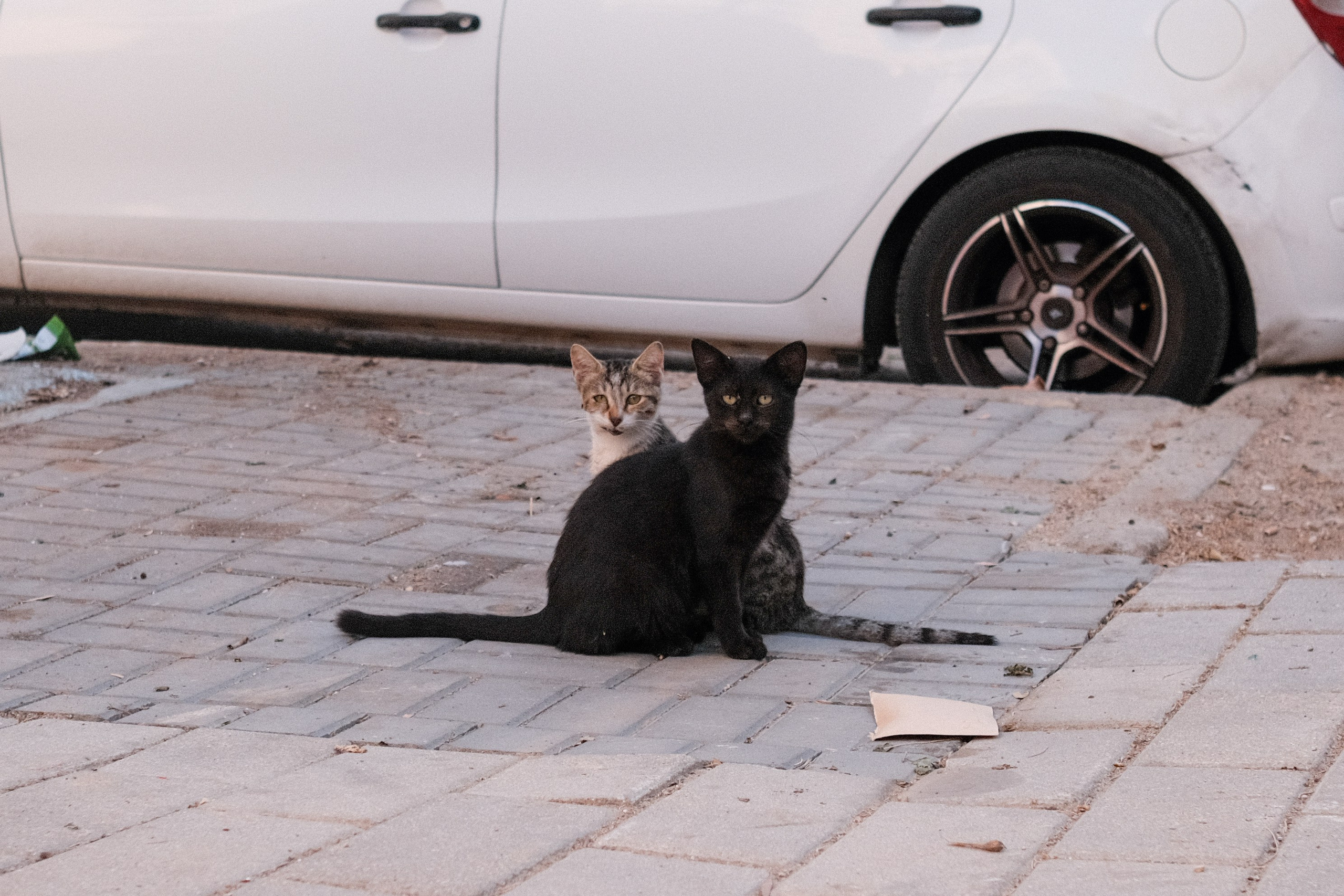 Стрит-фотография в Санкт-Петербурге — фотосессия | Филипп Линзин. Репортажный и портретный фотограф в Санкт-Петербурге Филипп Линзин