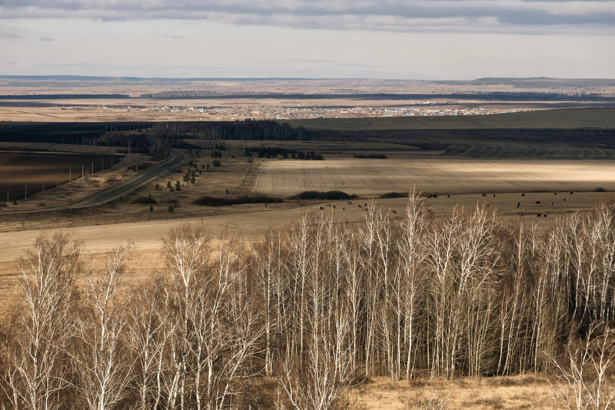Евгений Андреевич Тележкин. Скульптор. Репортажный фотограф Наталья Лапцевич