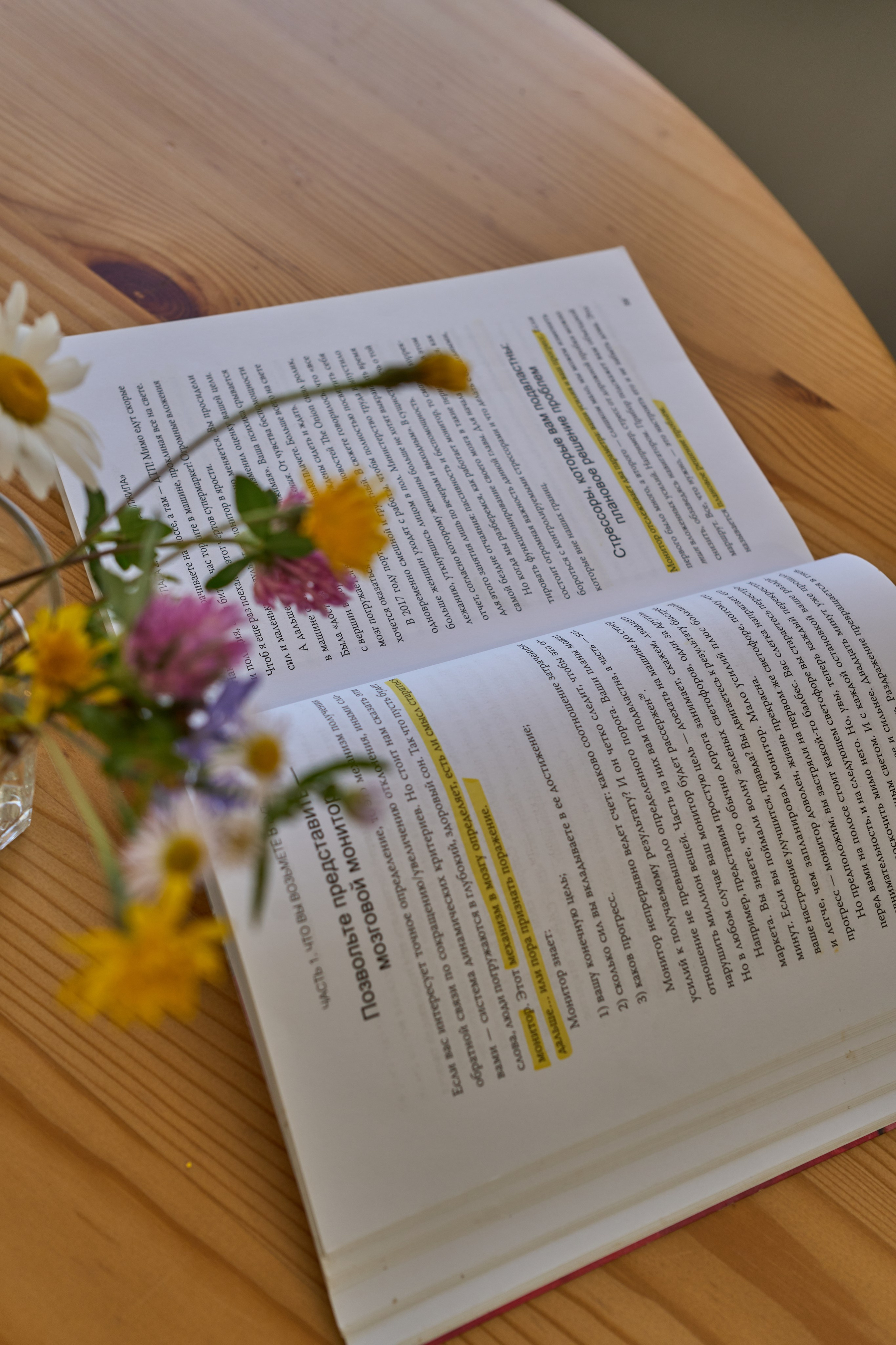 Коммерческая фотосъемка для гостиницы AYDIN EL. Фотограф, видеограф Пятигорск, Ставрополь, Ессентуки, Petlyakovs_photo