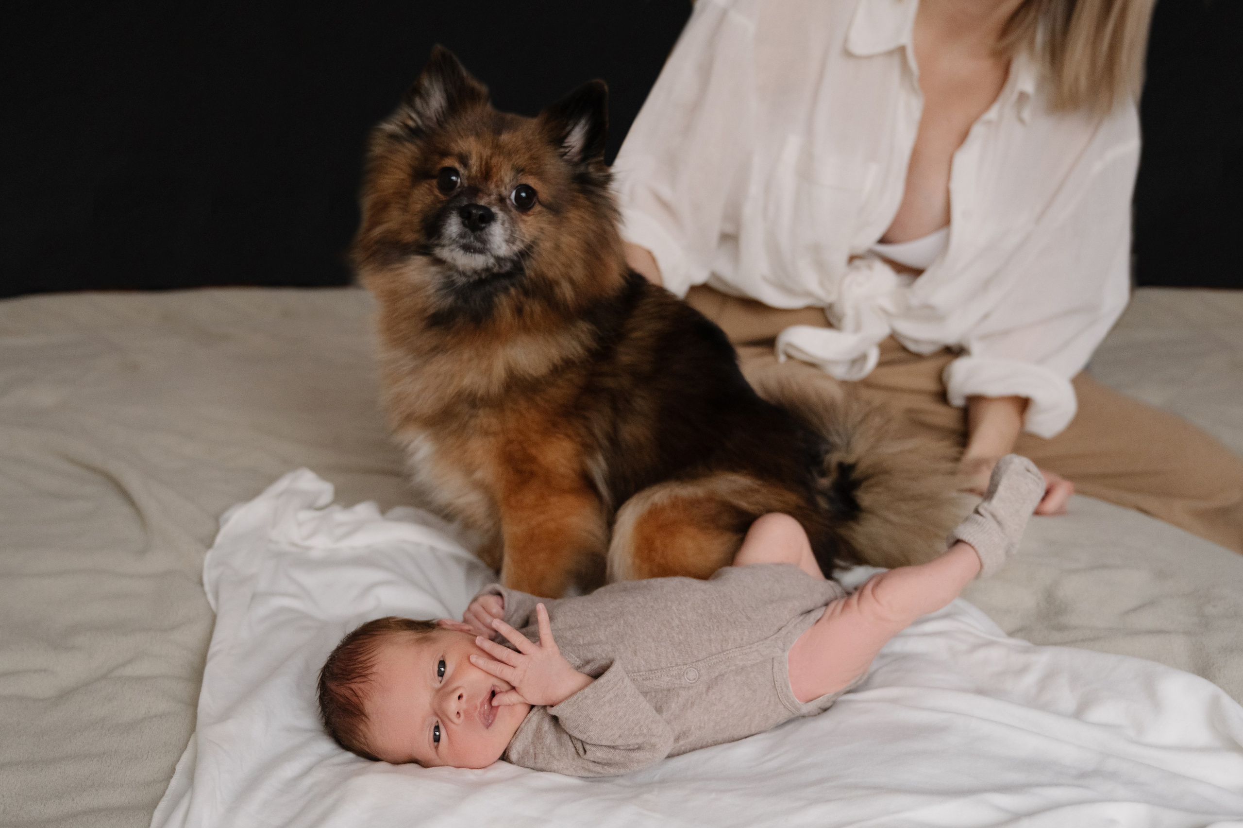 Серия с домашними животными. Фотограф новорожденных малышей в Санкт-Петербурге