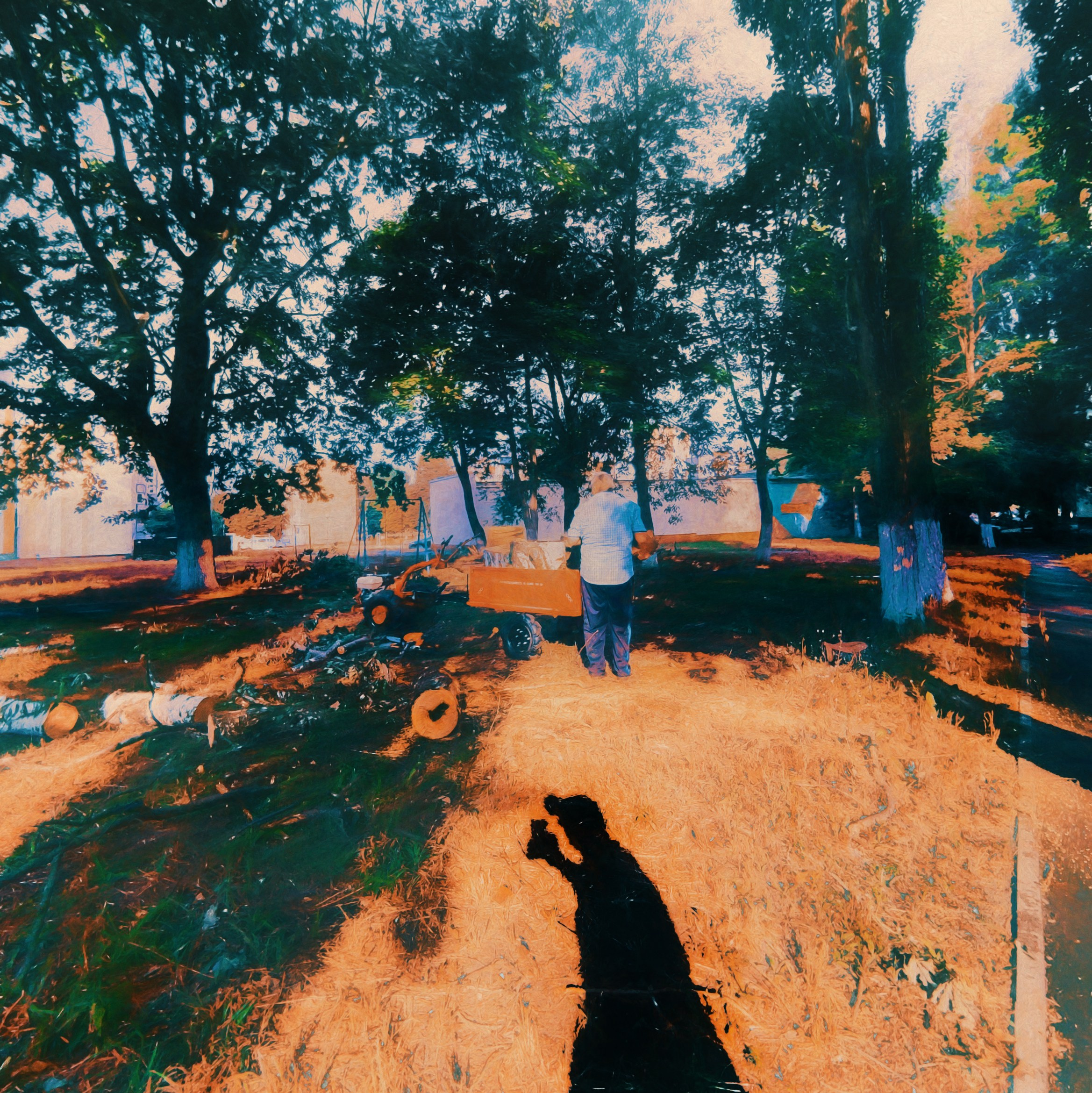 Photographic paintings. Фотограф (photographer) Lischinski Vitaliy