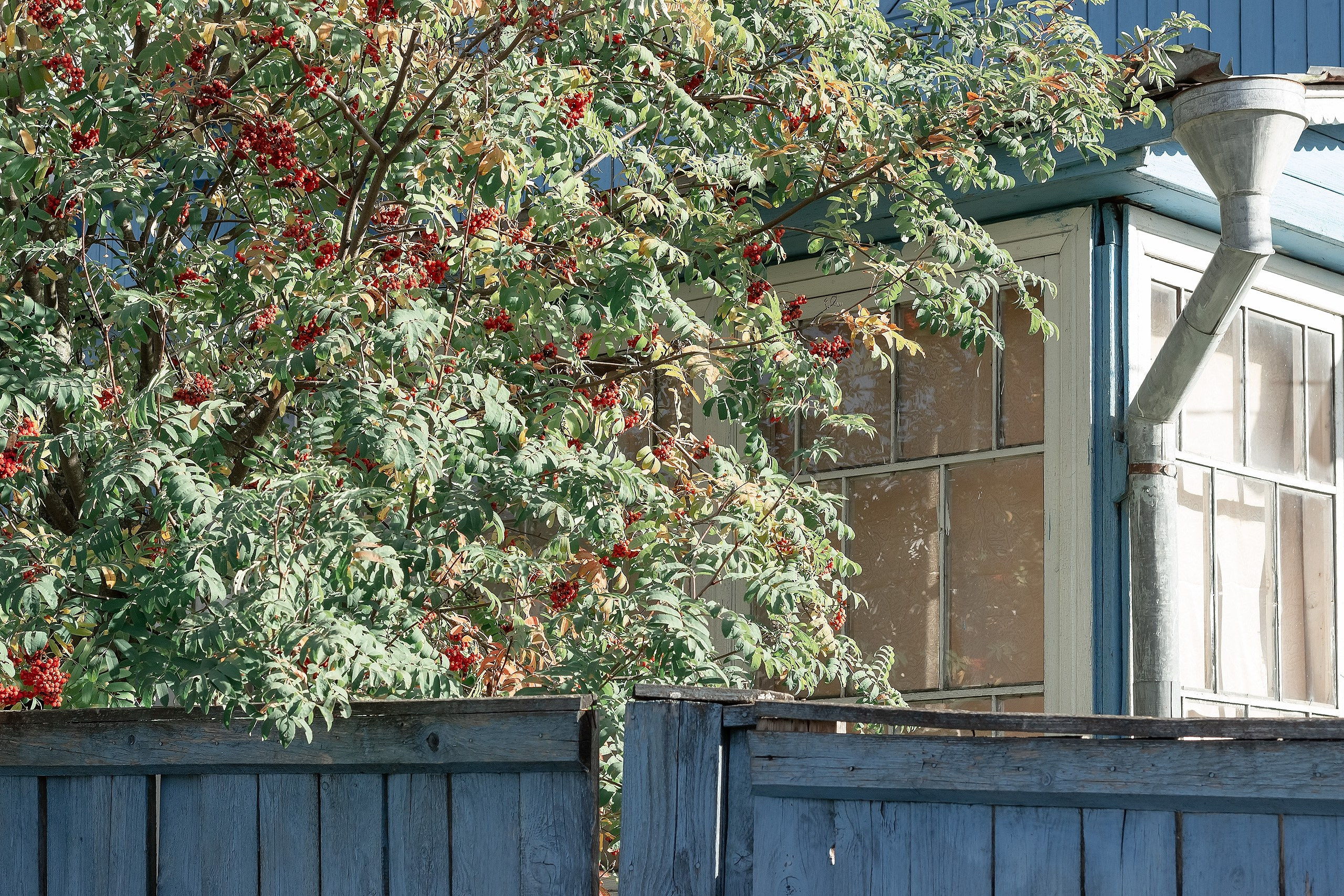 Наш Дом — Земля. Аmat Victoria Сuram