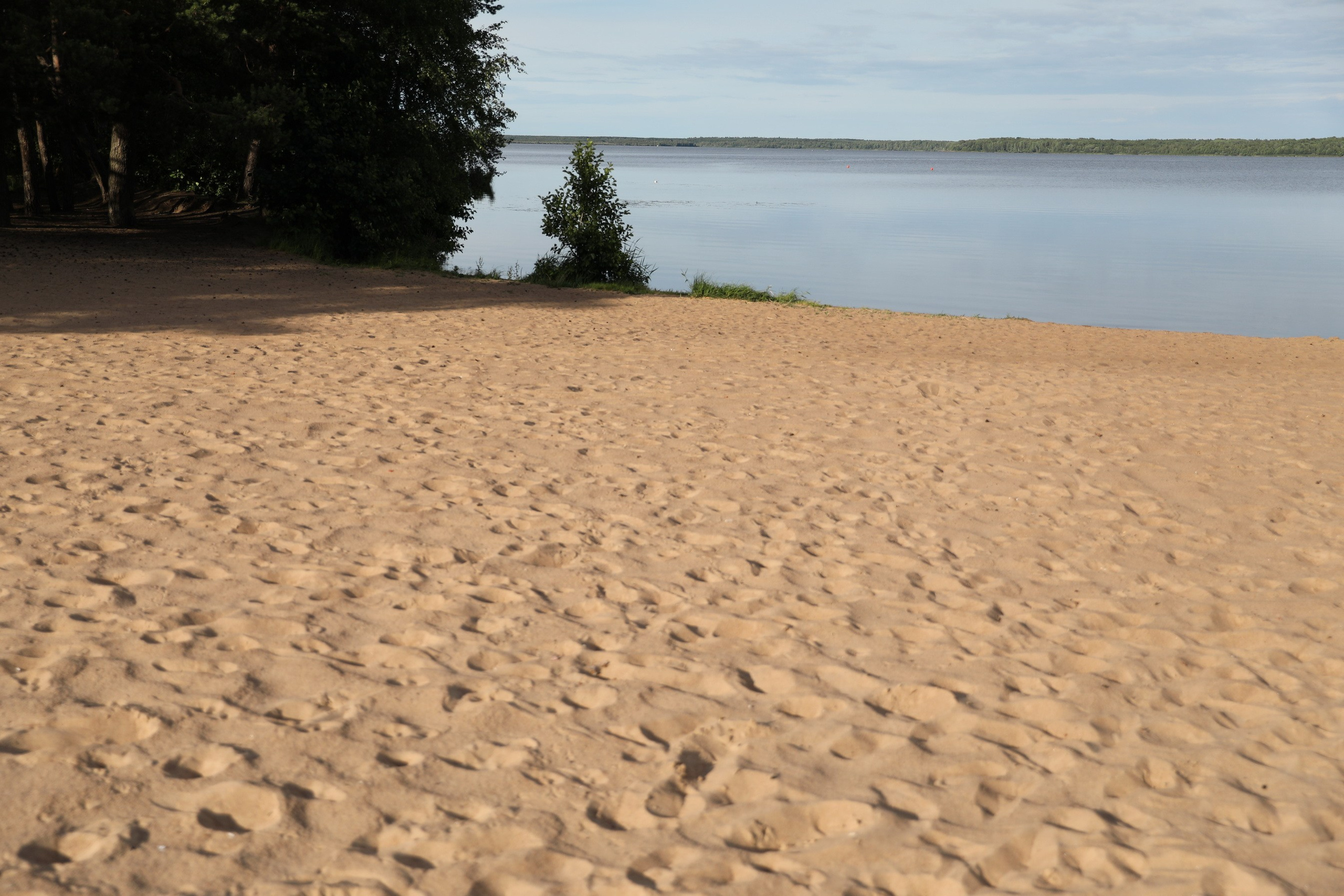 Пых 14 07 2020. Заставка