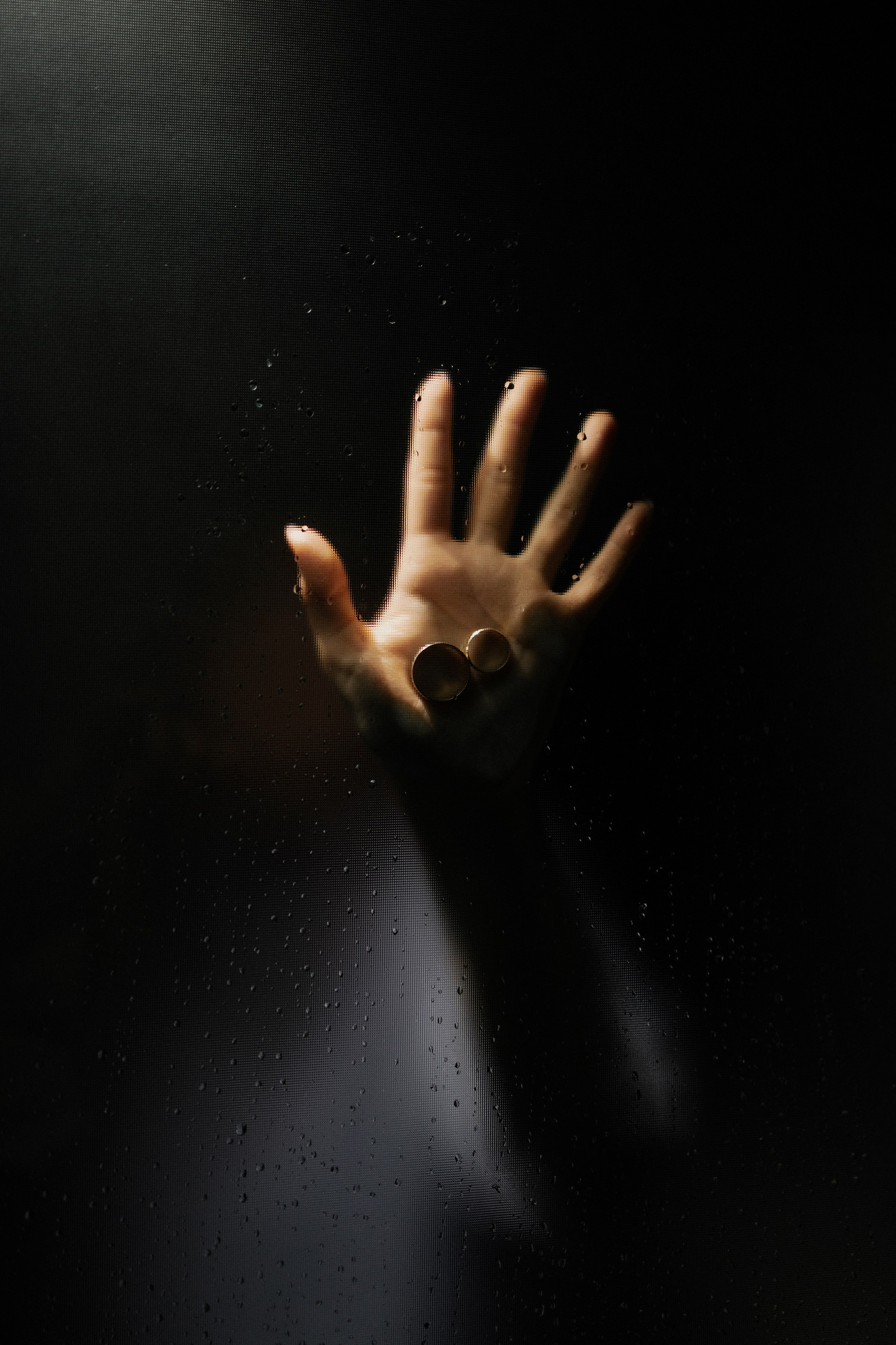 И в конце вечера мы выпьем шампанское за наш день